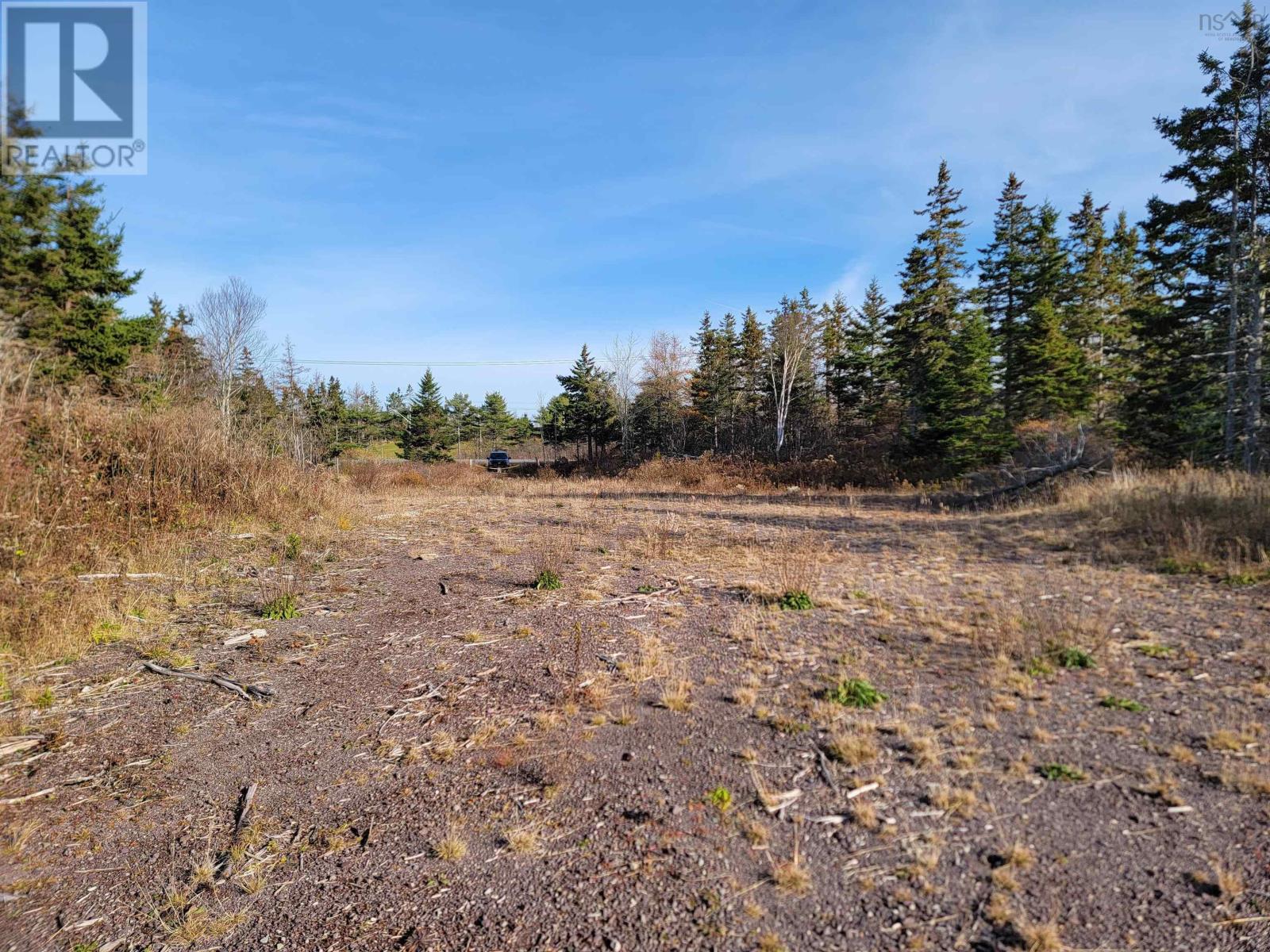 Louisbourg Highway, Catalone, Nova Scotia  B1C 2E6 - Photo 18 - 202325748