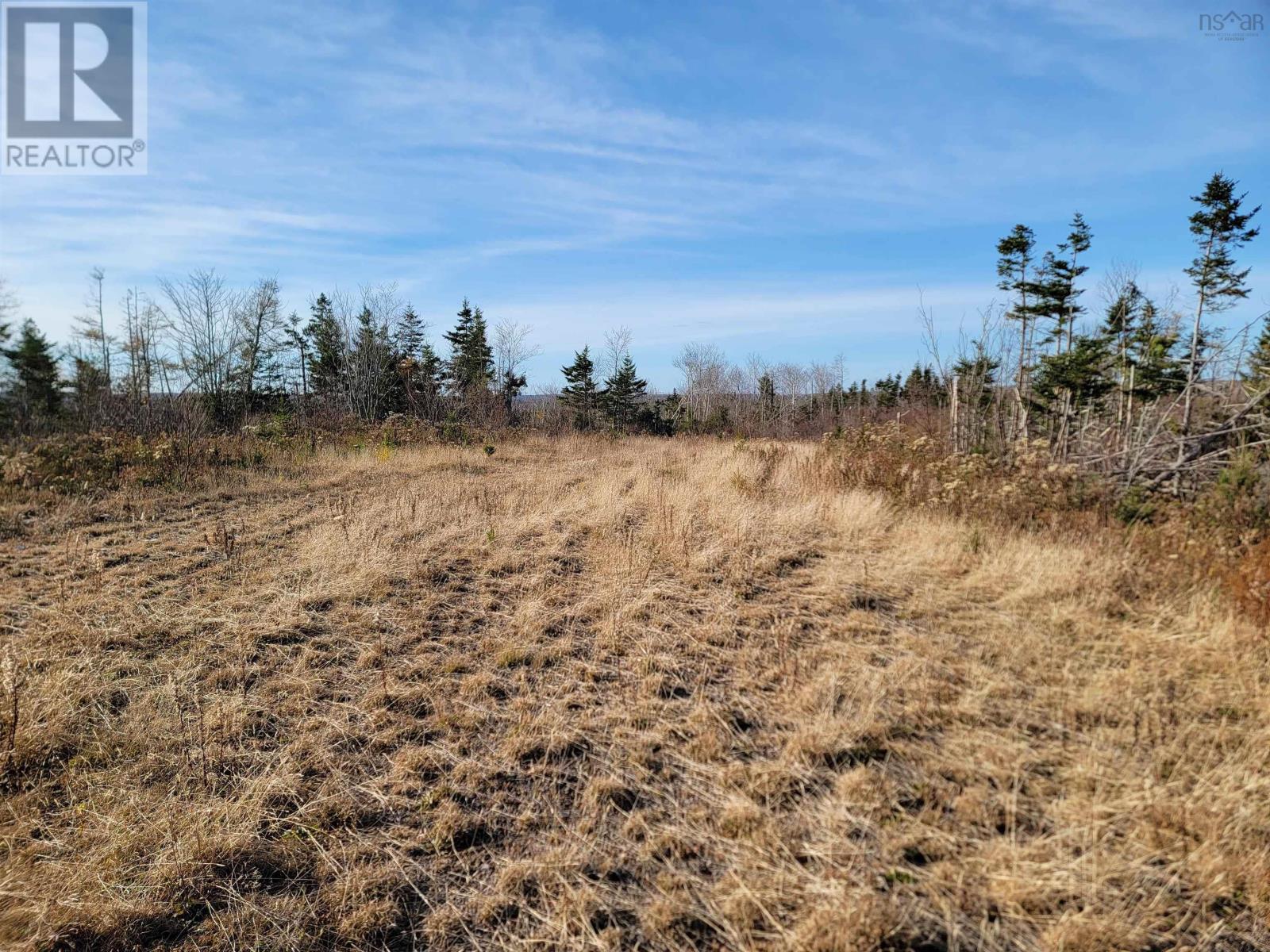 Louisbourg Highway, Catalone, Nova Scotia  B1C 2E6 - Photo 19 - 202325748