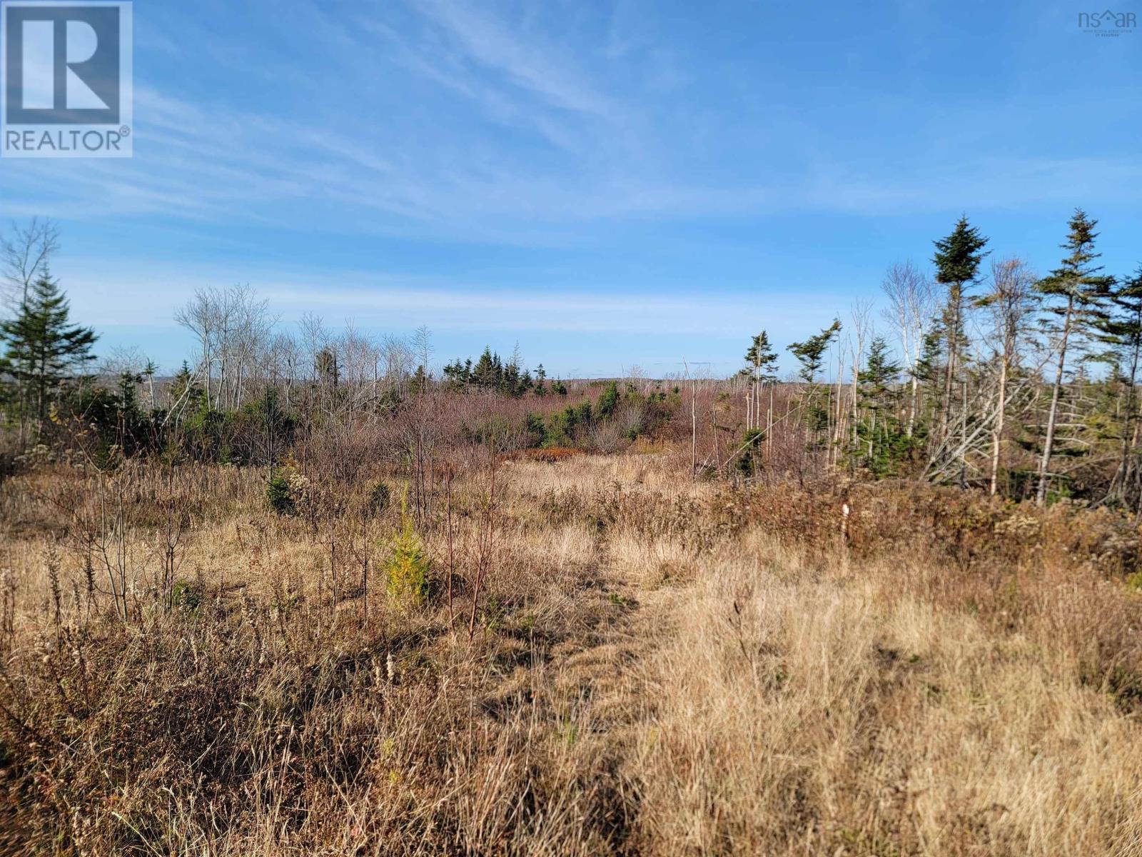 Louisbourg Highway, Catalone, Nova Scotia  B1C 2E6 - Photo 20 - 202325748