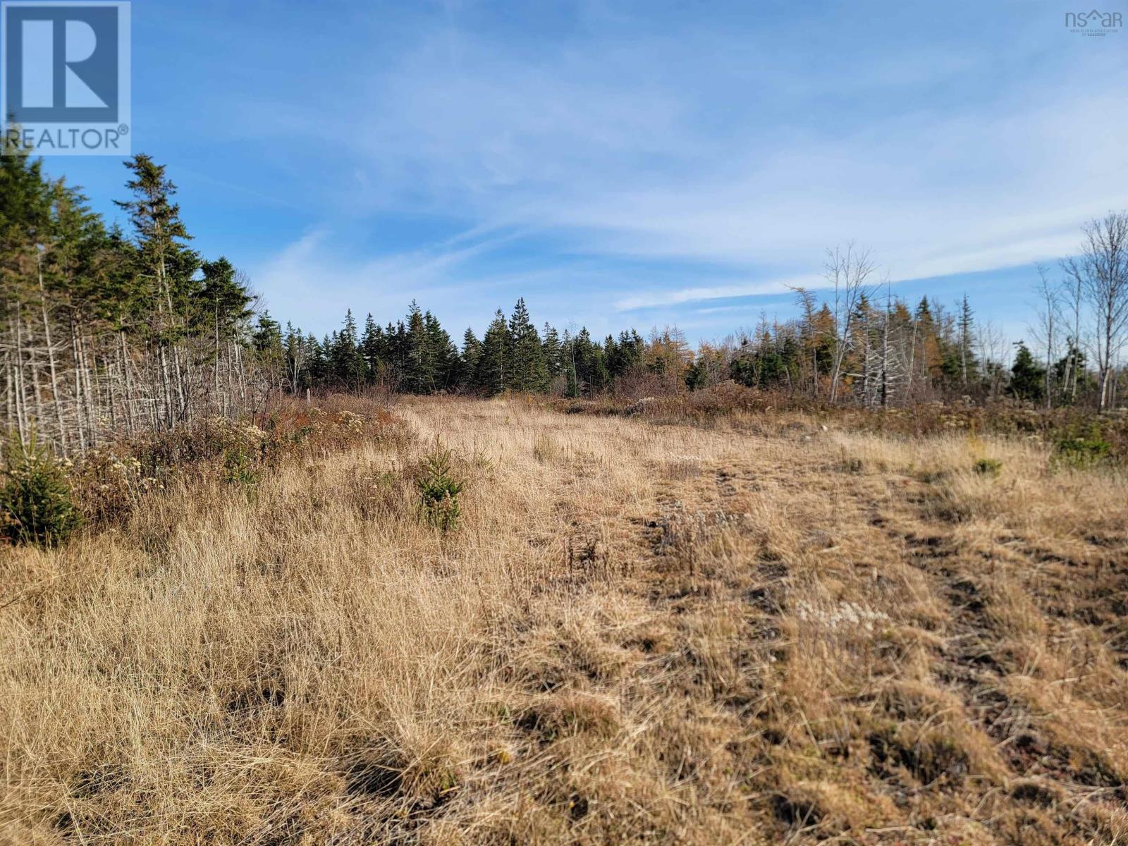 Louisbourg Highway, Catalone, Nova Scotia  B1C 2E6 - Photo 21 - 202325748