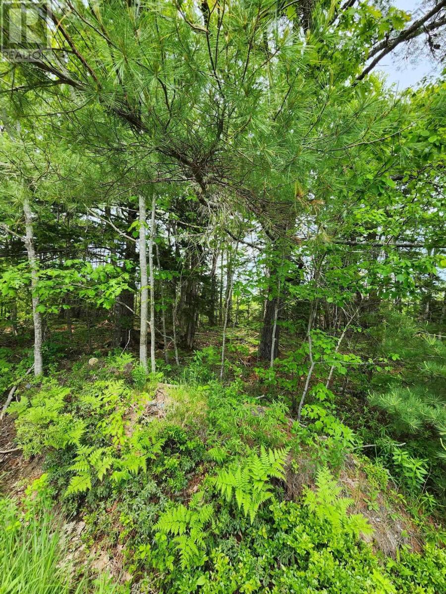 Lot 15 Charlton Road, West Springhill, Nova Scotia  B0S 1A0 - Photo 5 - 202400082