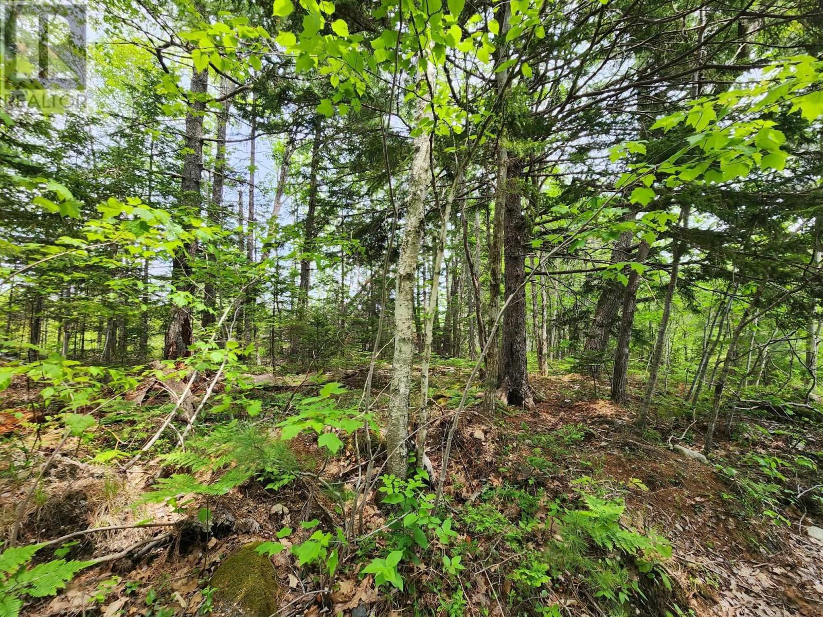 Lot 15 Charlton Road, West Springhill, Nova Scotia  B0S 1A0 - Photo 6 - 202400082