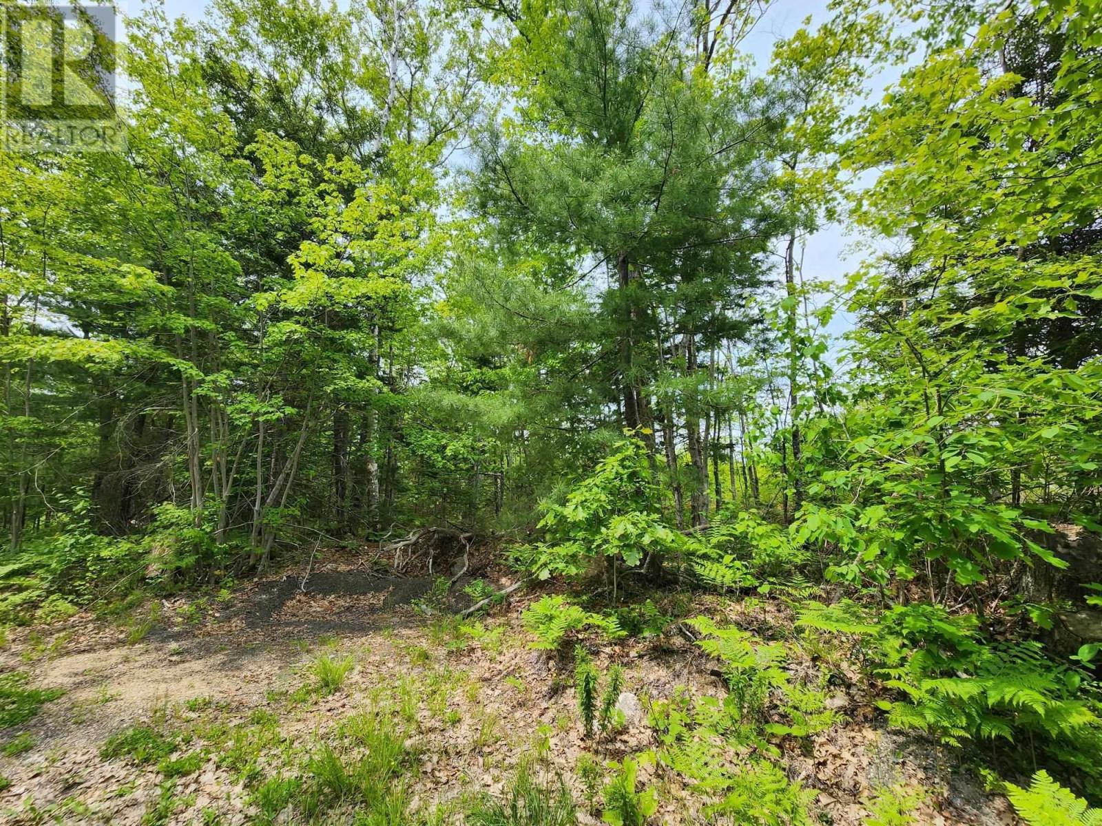 Lot 15 Charlton Road, West Springhill, Nova Scotia  B0S 1A0 - Photo 8 - 202400082