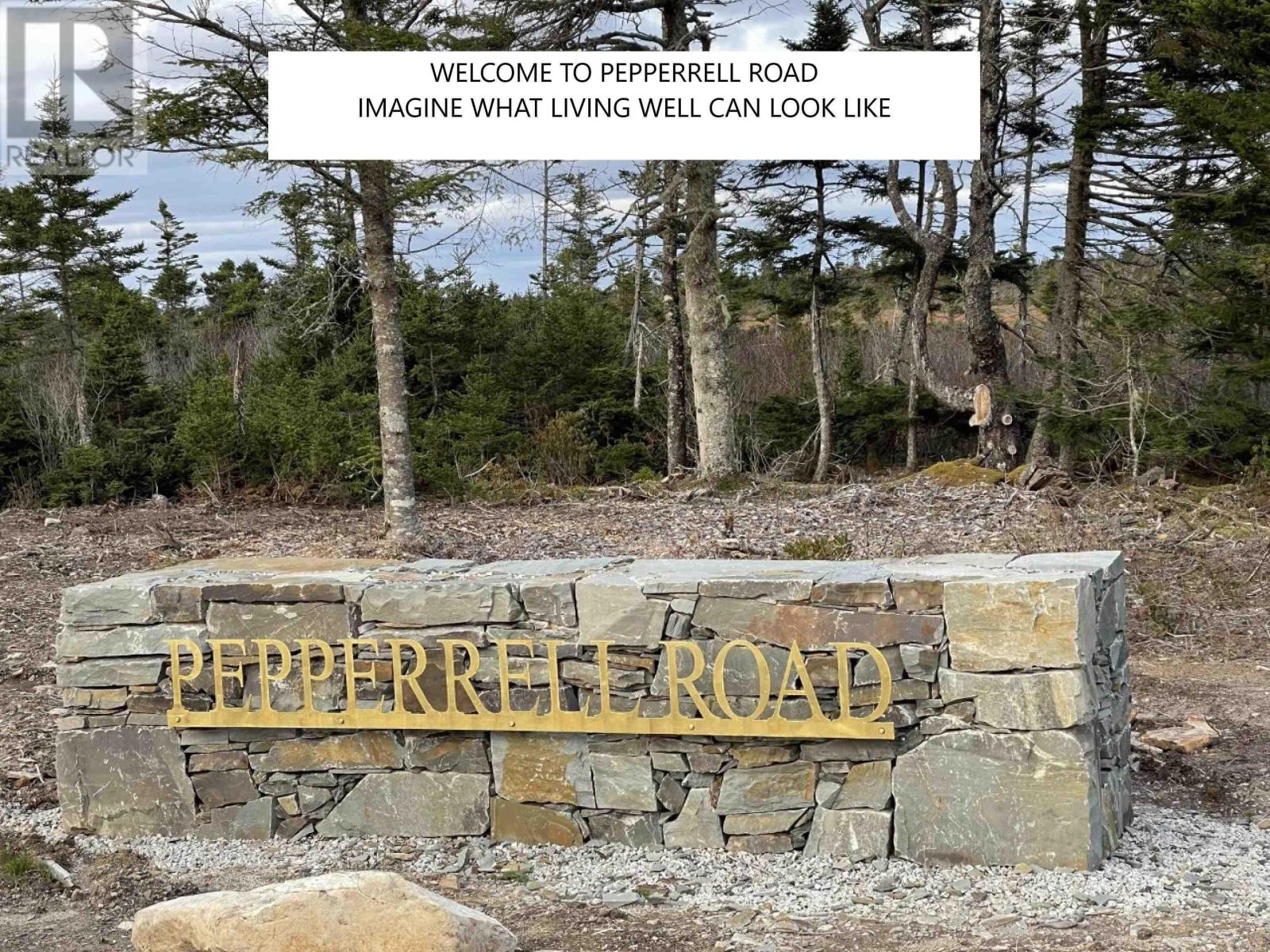 Lot #4a Pepperrell Road, Cape St Marys, Nova Scotia  B5A 5B4 - Photo 6 - 202400099