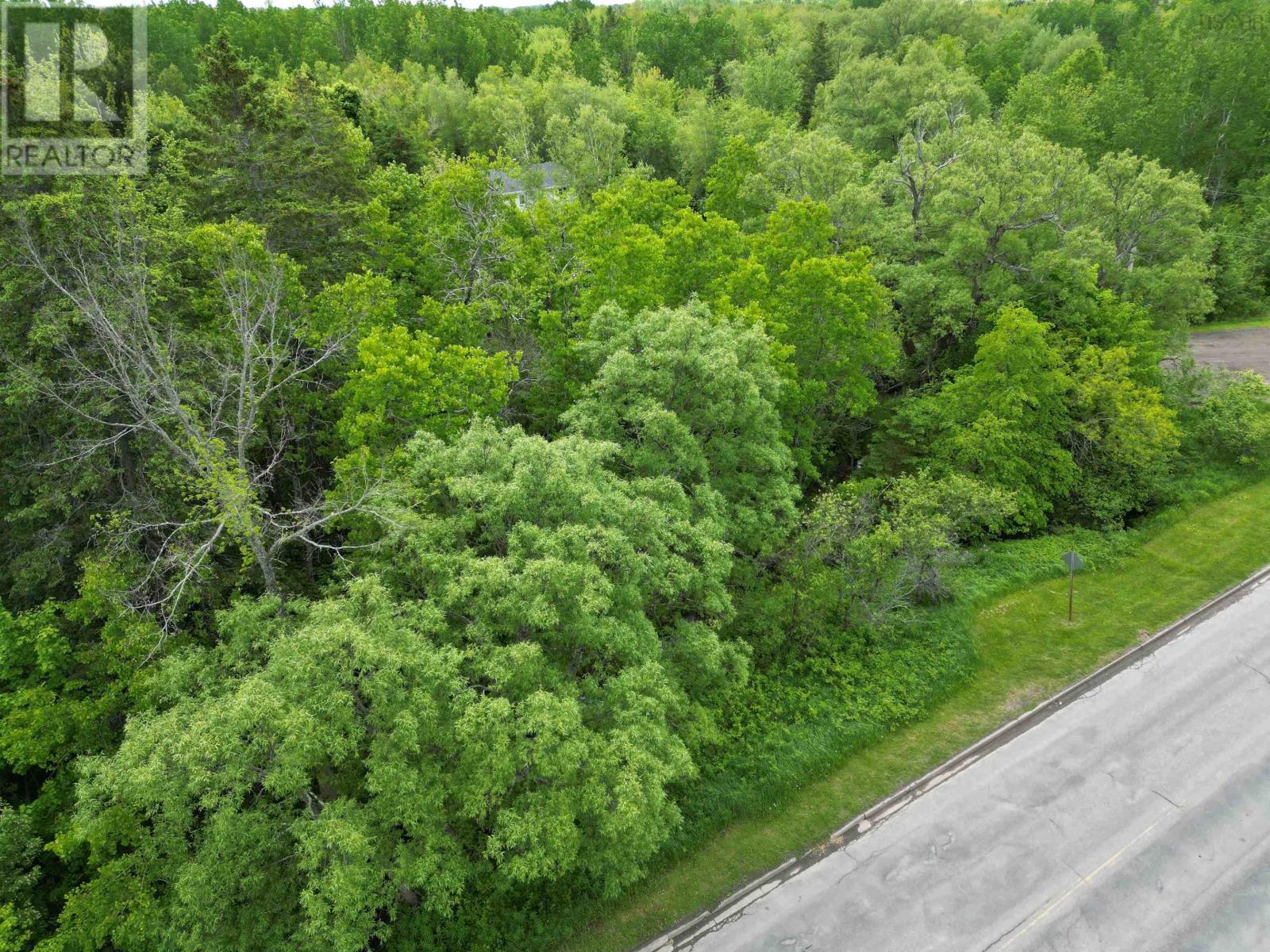 Lot 11 North Main Street, Westville, Nova Scotia  B0K 2A0 - Photo 5 - 202400208