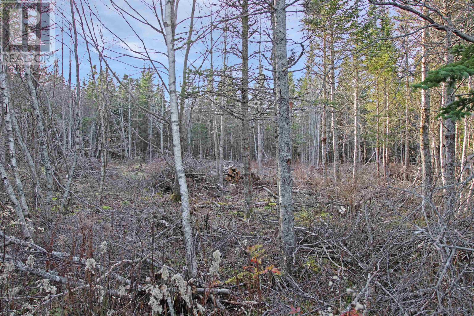 Lot Arlington Road, Mount Hanley, Nova Scotia  B0S 1M0 - Photo 10 - 202400387