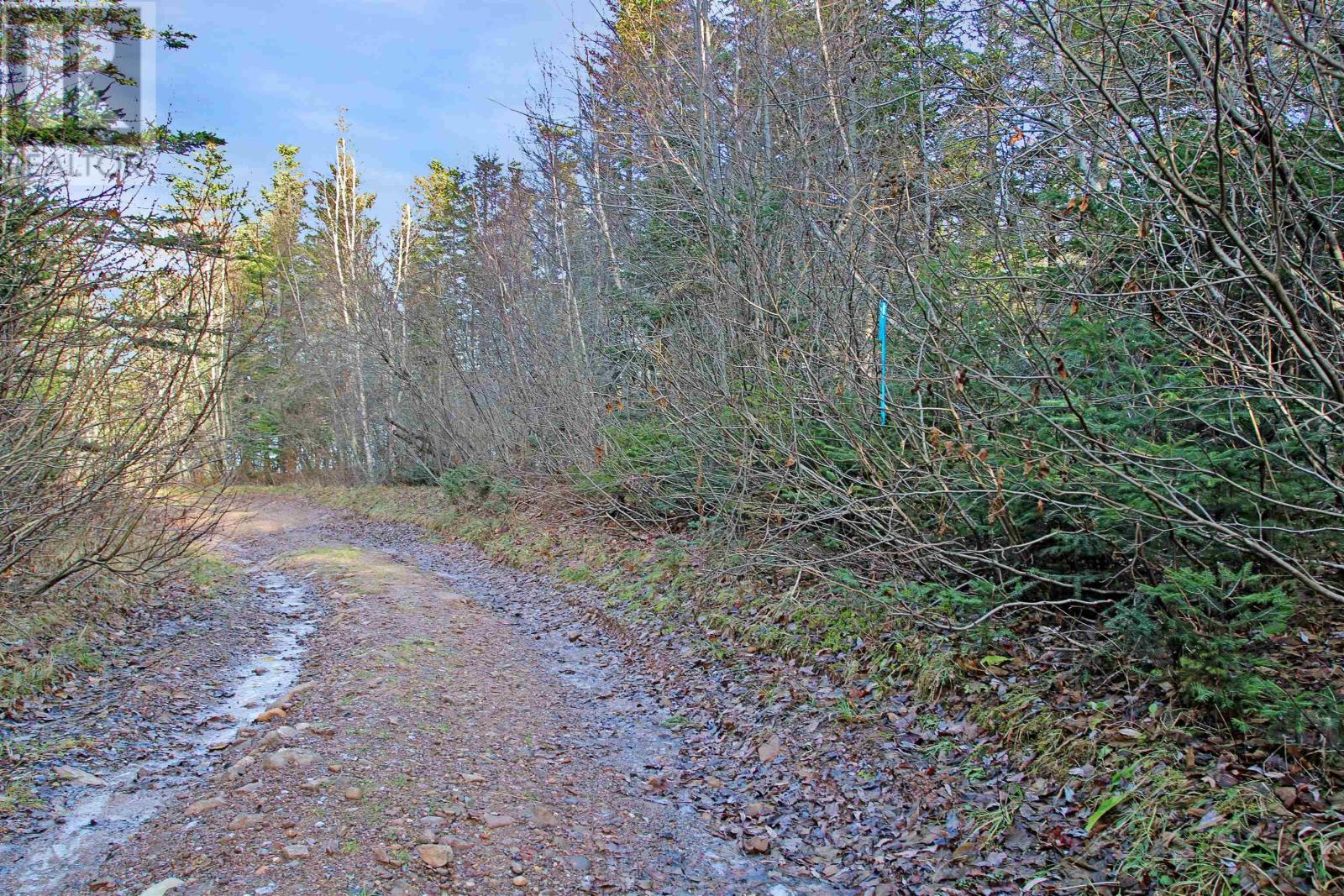 Lot Arlington Road, Mount Hanley, Nova Scotia  B0S 1M0 - Photo 11 - 202400387