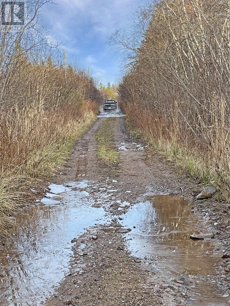 Lot Arlington Road, Mount Hanley, Nova Scotia  B0S 1M0 - Photo 12 - 202400387