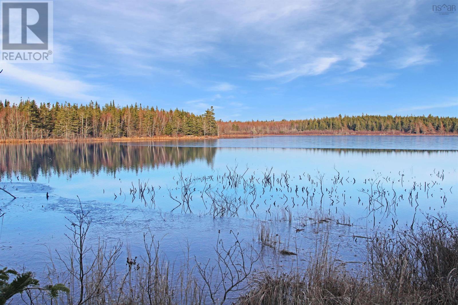 Lot Arlington Road, Mount Hanley, Nova Scotia  B0S 1M0 - Photo 4 - 202400387