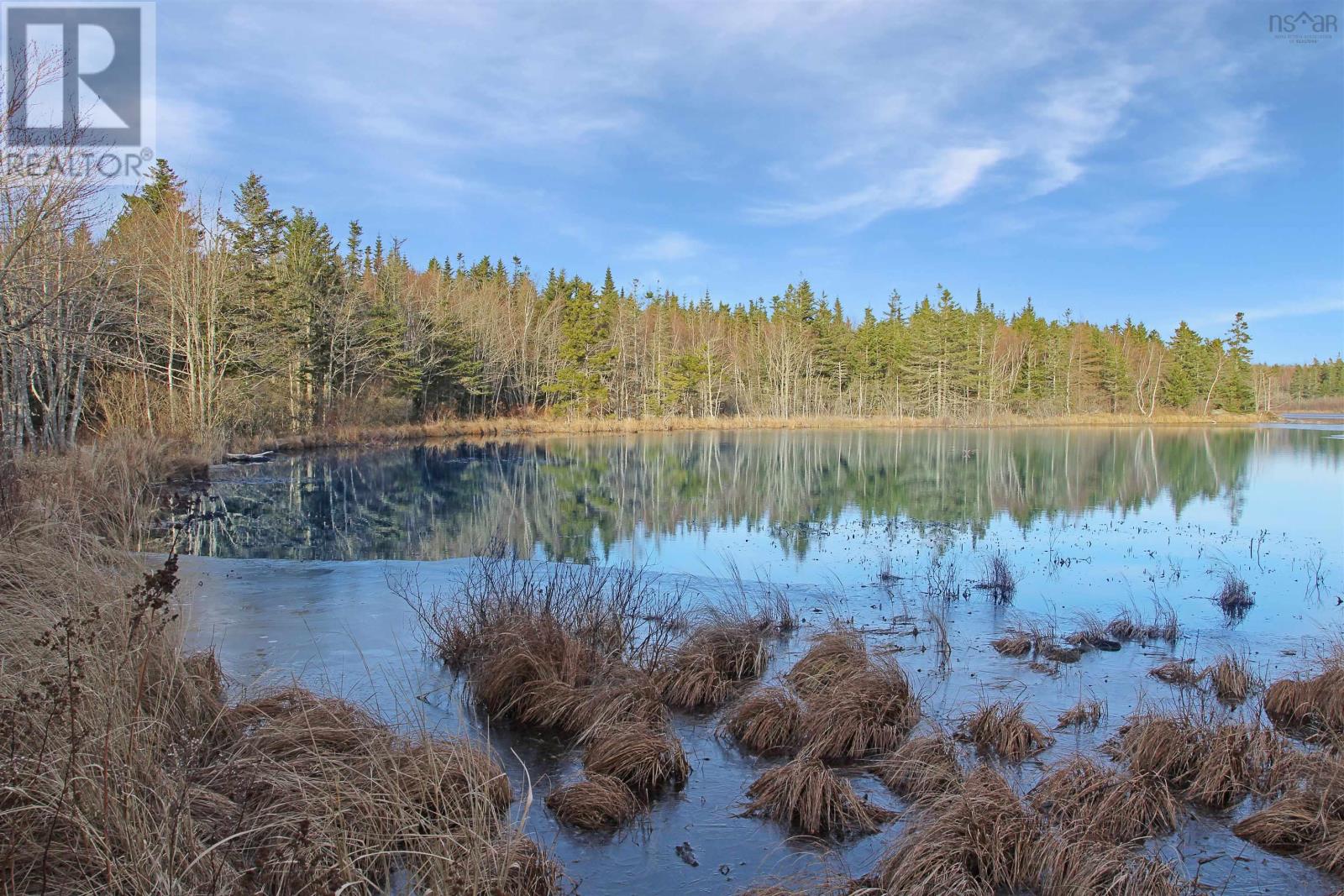 Lot Arlington Road, Mount Hanley, Nova Scotia  B0S 1M0 - Photo 6 - 202400387