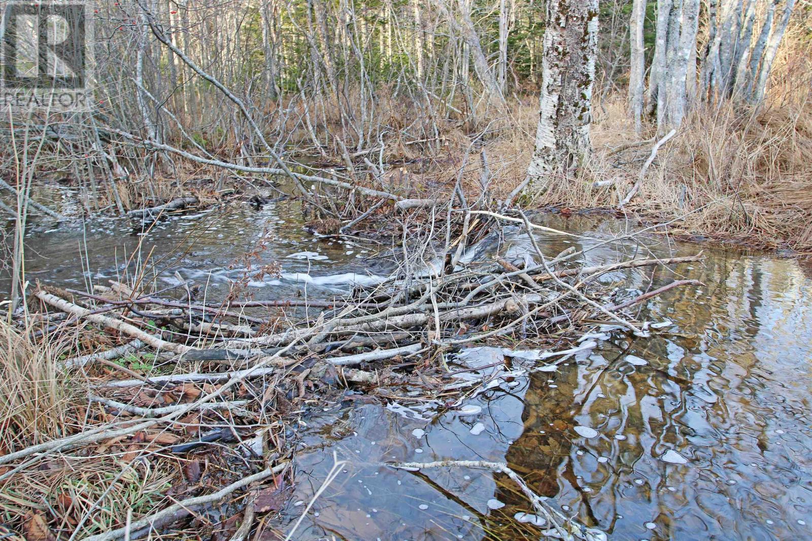 Lot Arlington Road, Mount Hanley, Nova Scotia  B0S 1M0 - Photo 8 - 202400387