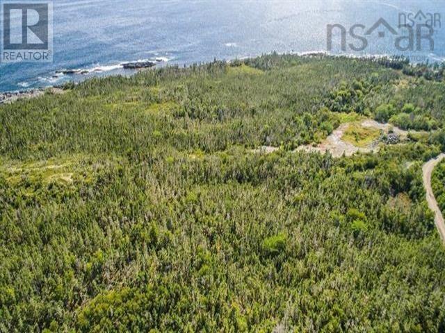 Lot 24 Herring Point Road, Blandford, Nova Scotia  B0J 1T0 - Photo 11 - 202400491