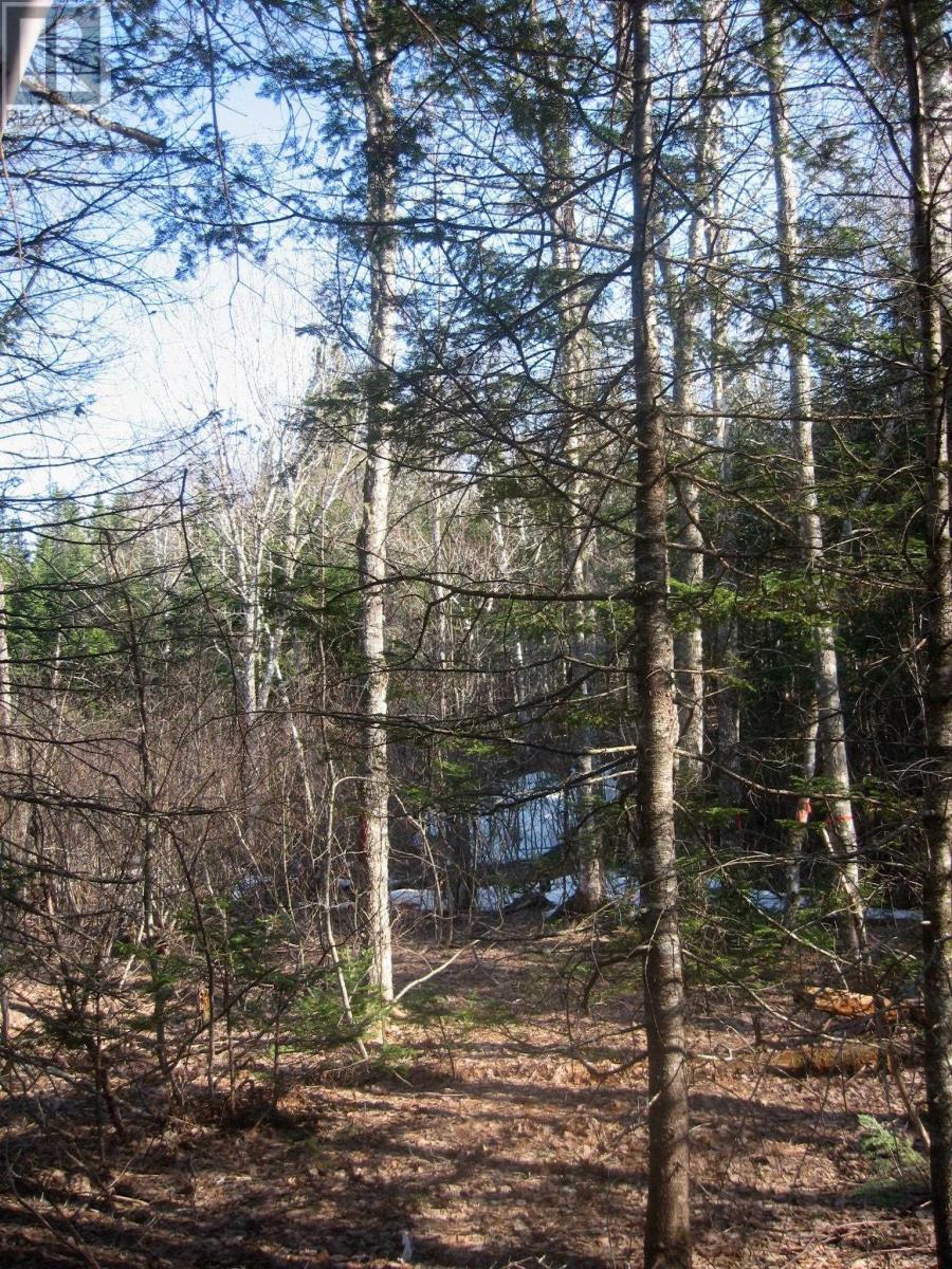 Lot 1 Hunter Road, West Wentworth, Nova Scotia  B0M 1Z0 - Photo 4 - 202400599