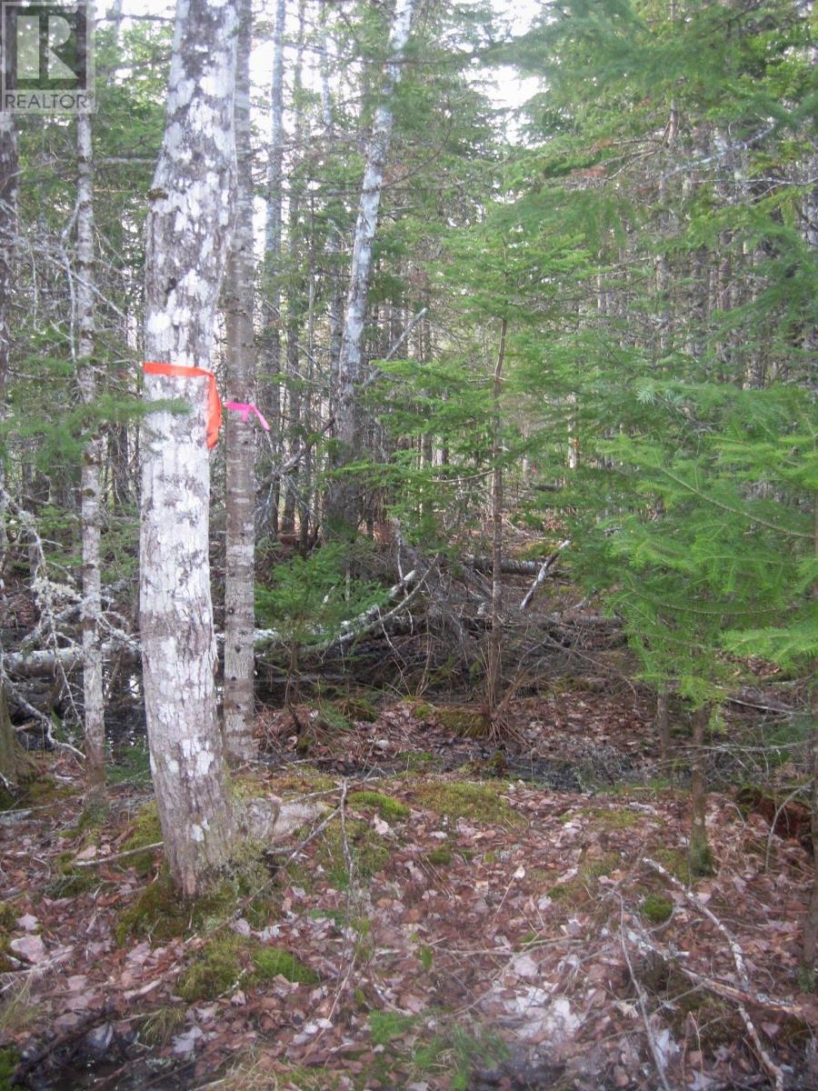 Lot 1 Hunter Road, West Wentworth, Nova Scotia  B0M 1Z0 - Photo 7 - 202400599