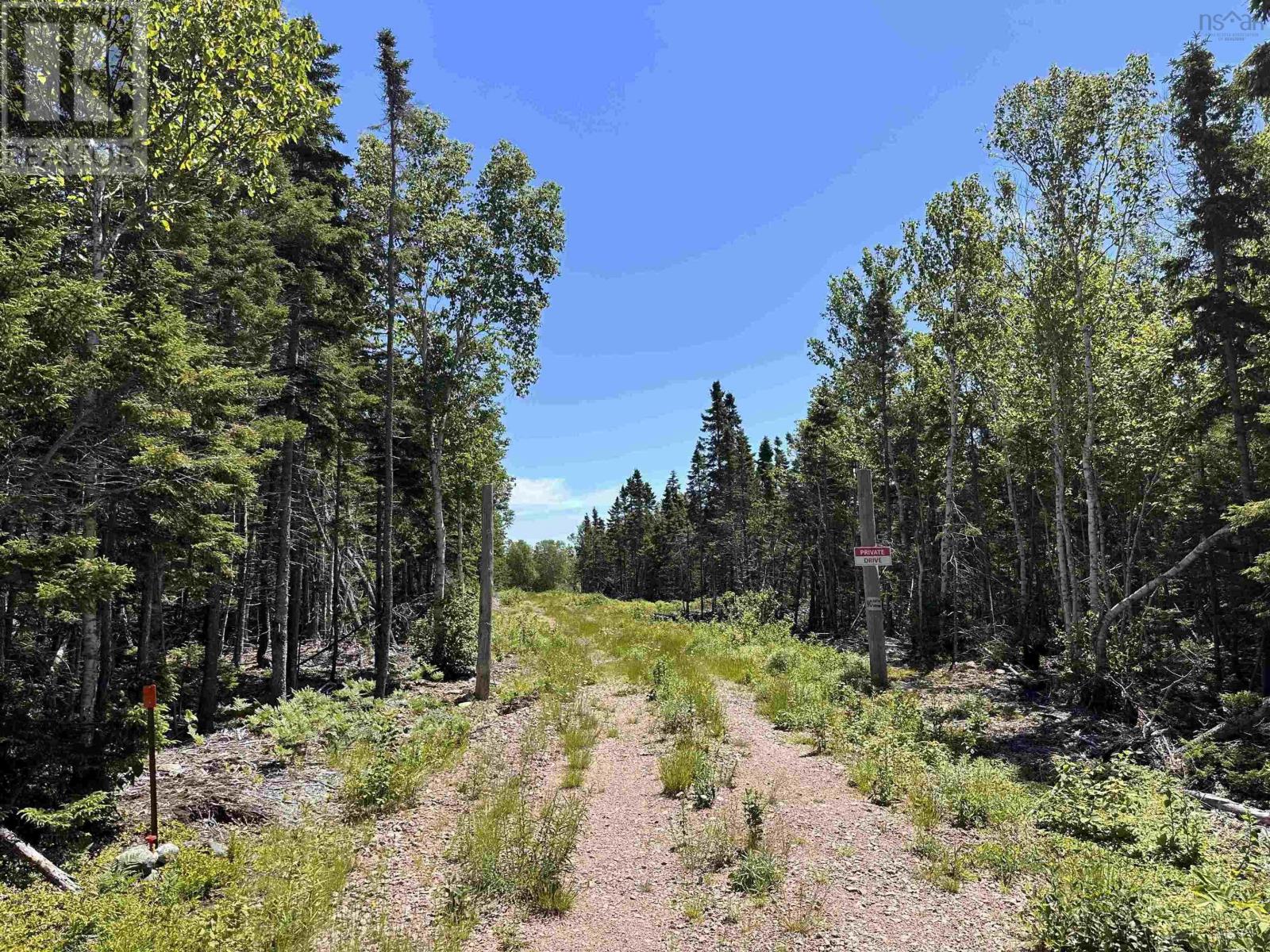 Lot 02 2 Cabot Trail, Birch Plain, Nova Scotia  B0C 1H0 - Photo 13 - 202400870