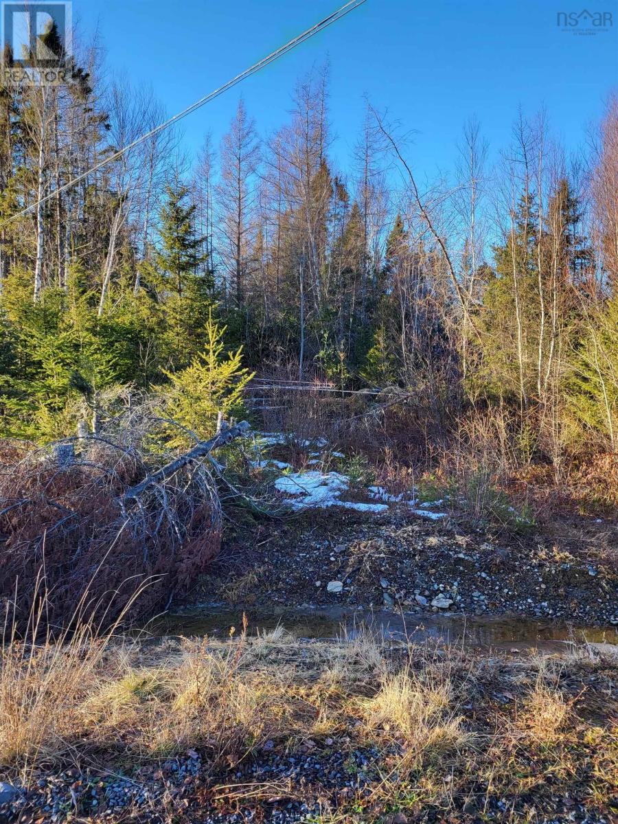 Lot 21-2 Country Harbour Road, Melrose, Nova Scotia  B0H 1J0 - Photo 2 - 202401188