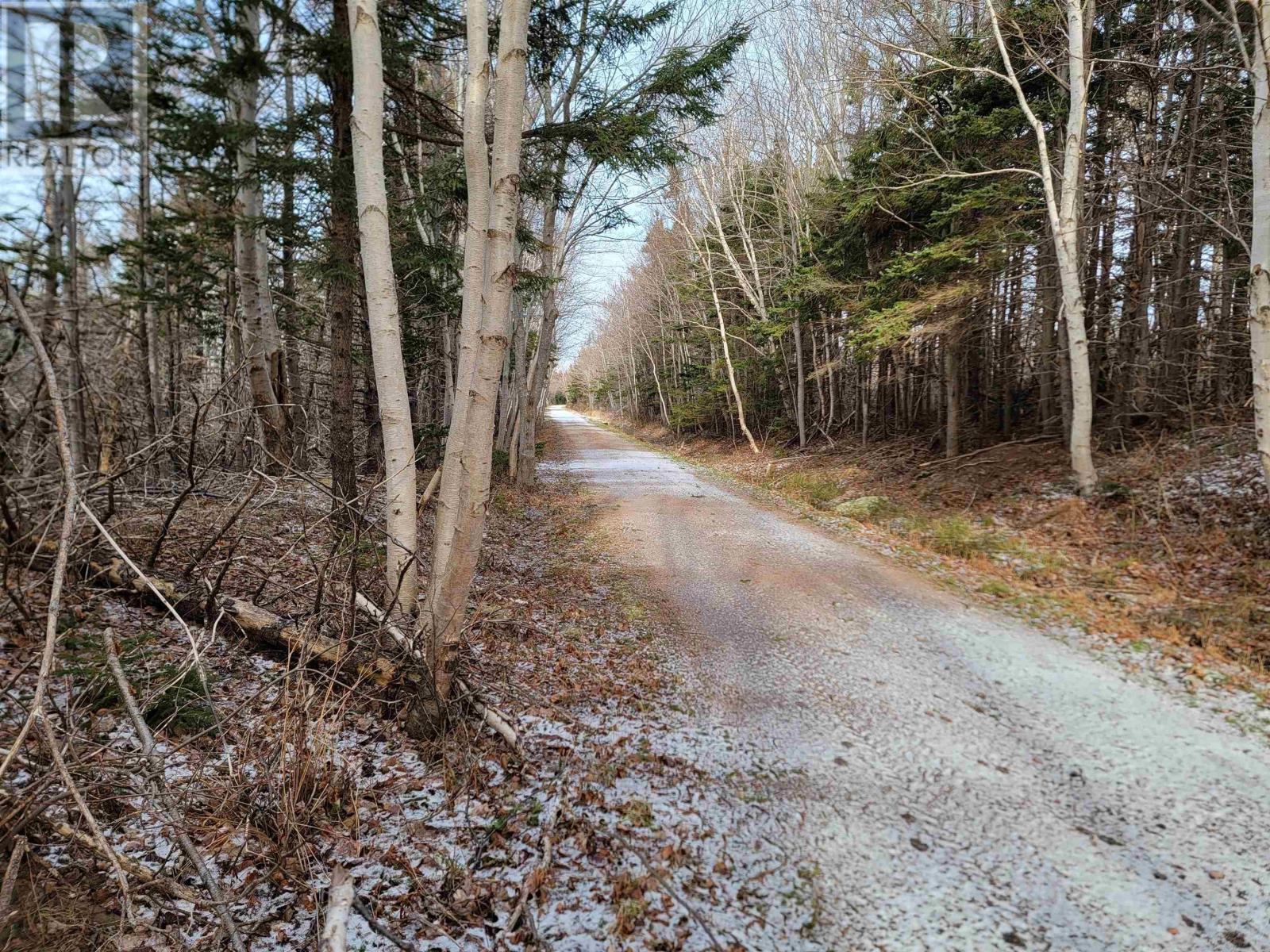 Walkers Cove Road, Judique South, Nova Scotia  B0E 1P0 - Photo 4 - 202401393