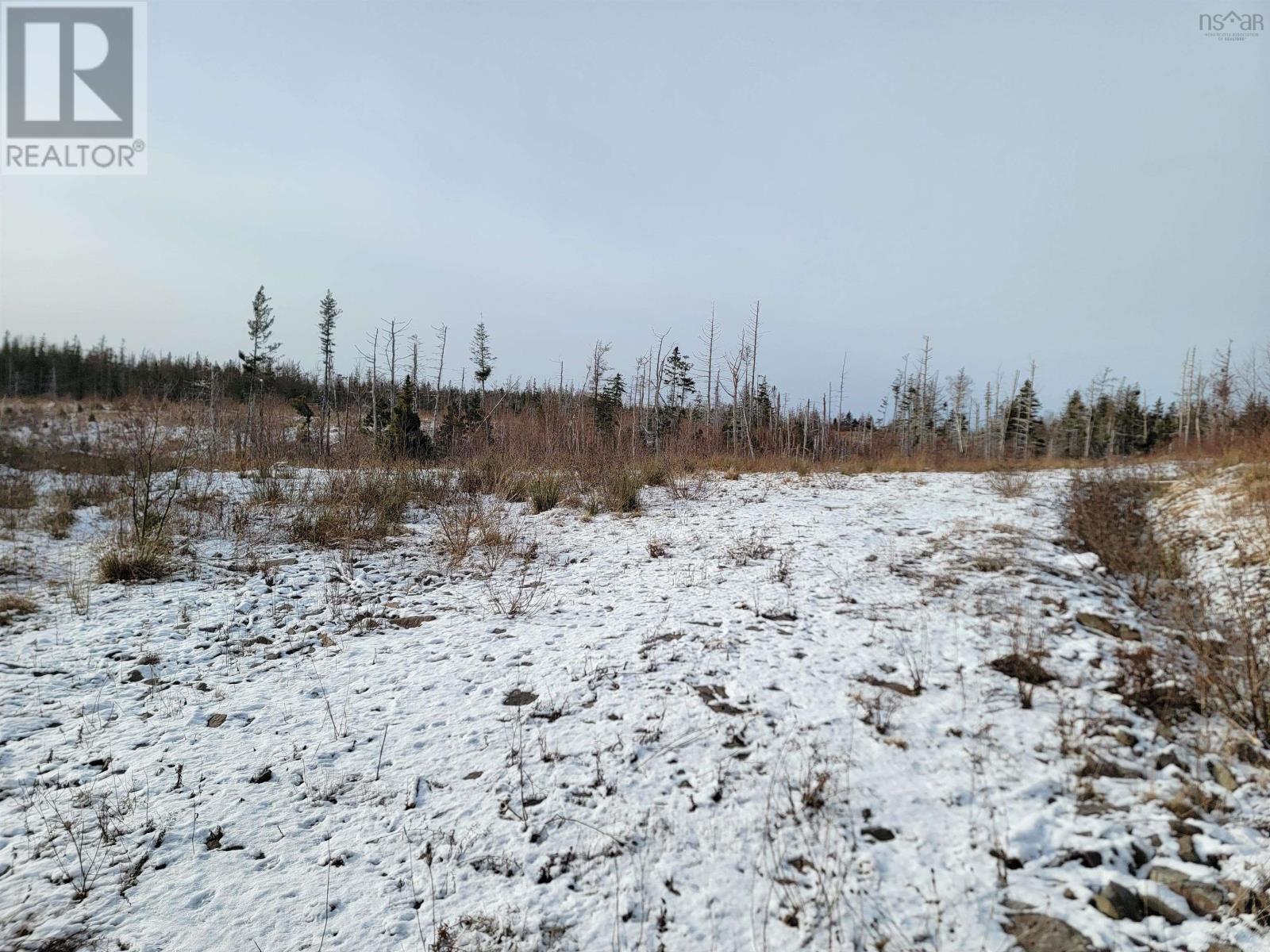 Walkers Cove Road, Judique South, Nova Scotia  B0E 1P0 - Photo 6 - 202401393