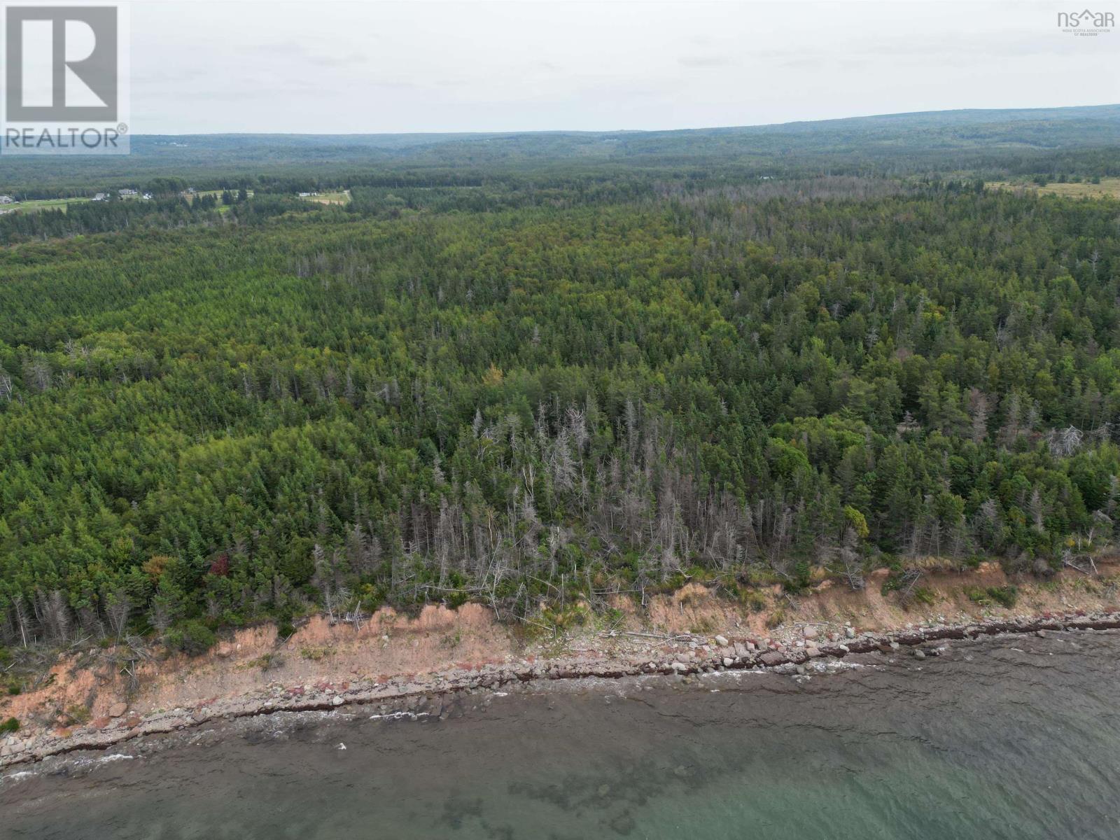 Highway 19, Judique, Nova Scotia  B0E 1P0 - Photo 10 - 202401394