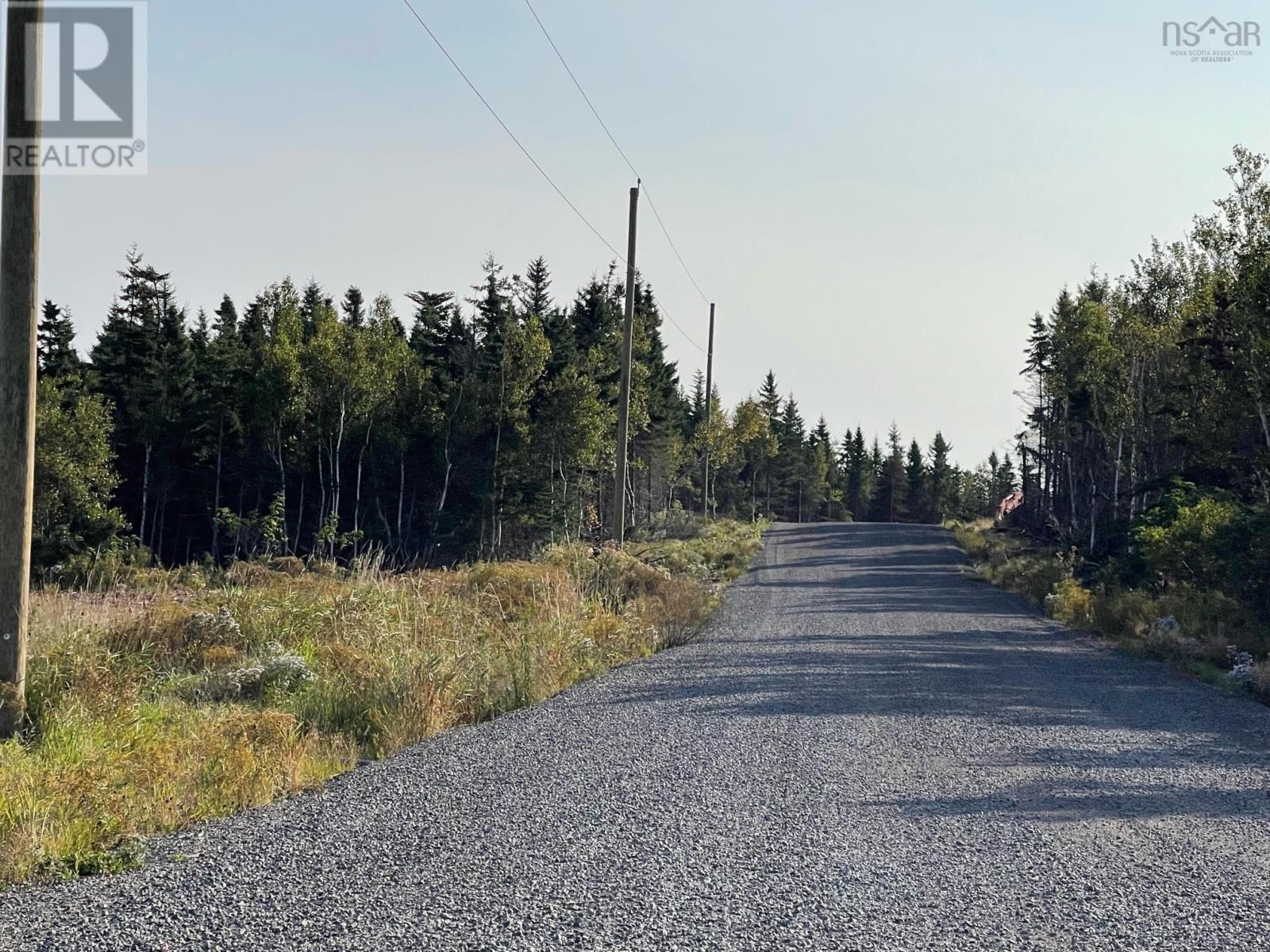 Lot 11 Pugwash Point Road, Pugwash, Nova Scotia  B0K 1L0 - Photo 14 - 202401469