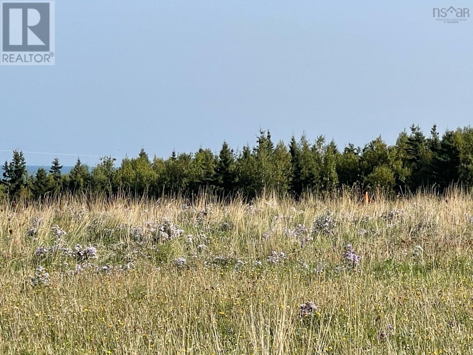 Lot 17 Pugwash Point Road, Pugwash, Nova Scotia  B0K 1L0 - Photo 13 - 202401475