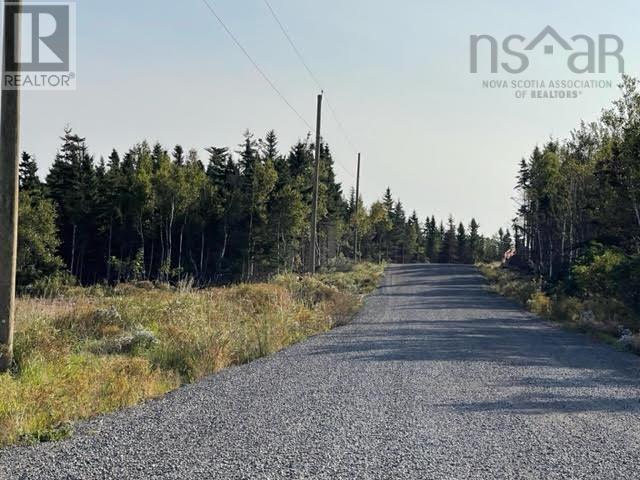 Lot 20 Pugwash Point Road, Pugwash, Nova Scotia  B0K 1L0 - Photo 11 - 202401477