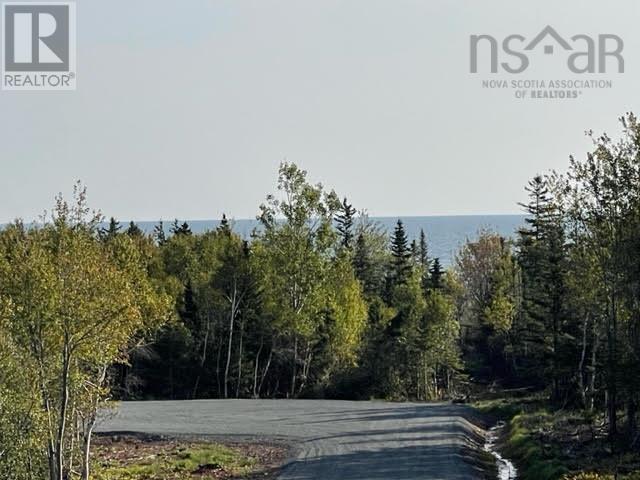 Lot 20 Pugwash Point Road, Pugwash, Nova Scotia  B0K 1L0 - Photo 12 - 202401477