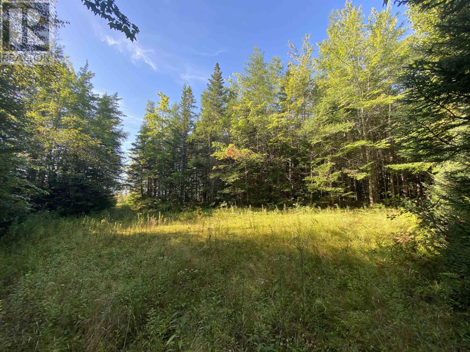 Lot Seaview Road, Seaview, Nova Scotia  B0E 3B0 - Photo 3 - 202401575