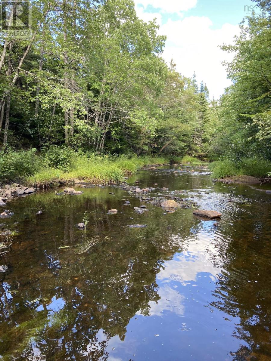 Lot Highway 4, False Bay Brook, River Bourgeois, Nova Scotia  B0E 2X0 - Photo 10 - 202401582