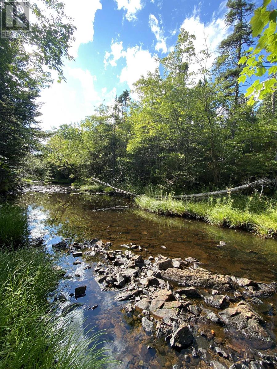 Lot Highway 4, False Bay Brook, River Bourgeois, Nova Scotia  B0E 2X0 - Photo 12 - 202401582