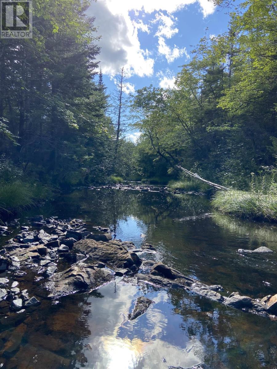 Lot Highway 4, False Bay Brook, River Bourgeois, Nova Scotia  B0E 2X0 - Photo 13 - 202401582