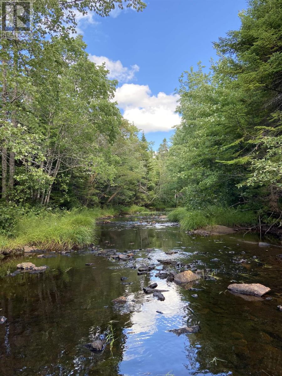 Lot Highway 4, False Bay Brook, River Bourgeois, Nova Scotia  B0E 2X0 - Photo 15 - 202401582