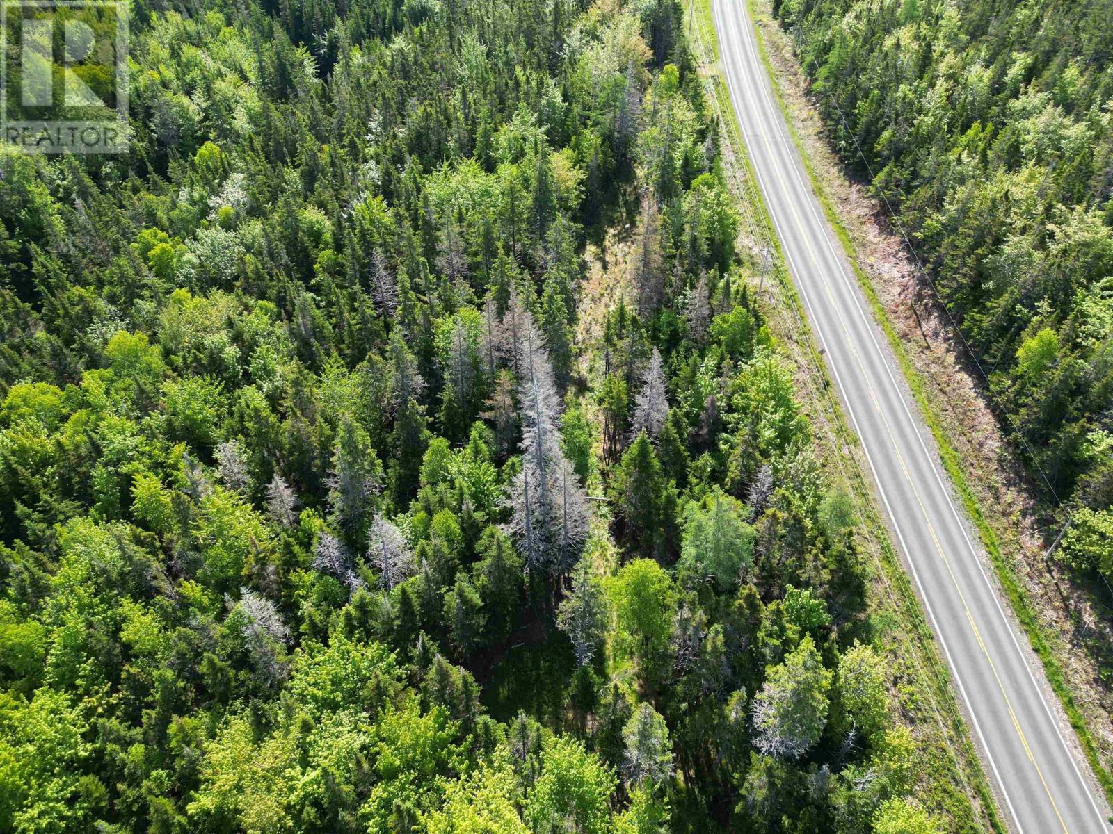 Lot Highway 4, False Bay Brook, River Bourgeois, Nova Scotia  B0E 2X0 - Photo 16 - 202401582