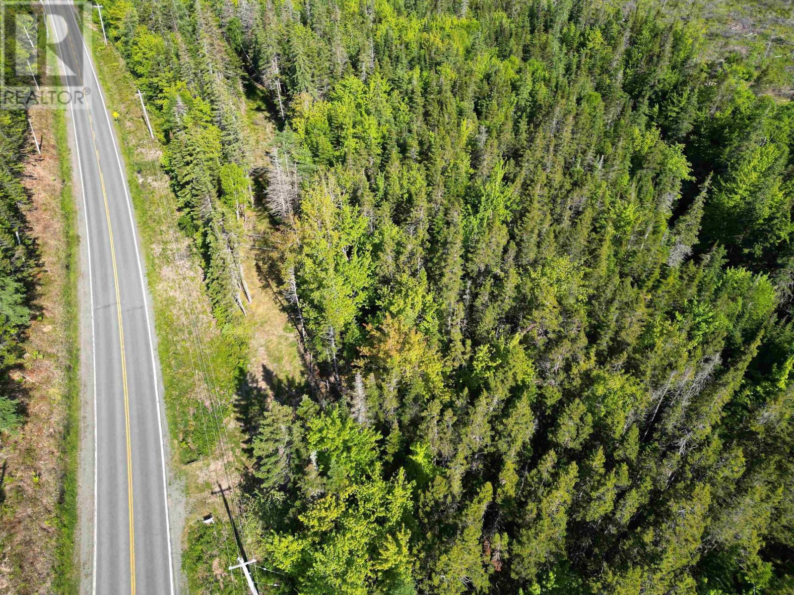 Lot Highway 4, False Bay Brook, River Bourgeois, Nova Scotia  B0E 2X0 - Photo 2 - 202401582