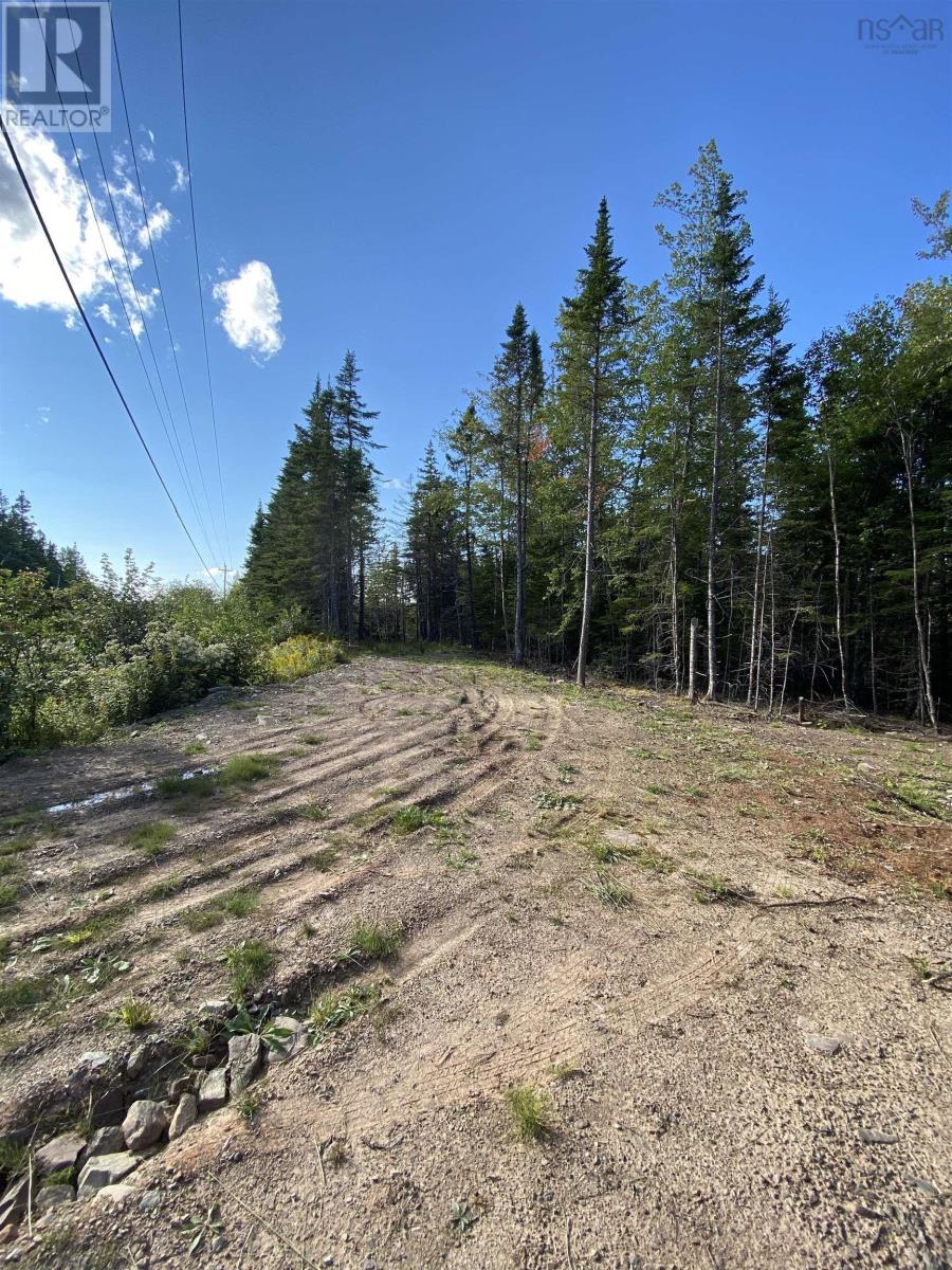 Lot Highway 4, False Bay Brook, River Bourgeois, Nova Scotia  B0E 2X0 - Photo 3 - 202401582