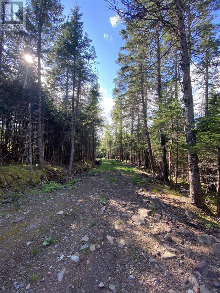 Lot Highway 4, False Bay Brook, River Bourgeois, Nova Scotia  B0E 2X0 - Photo 5 - 202401582