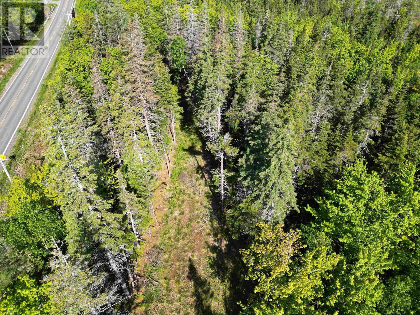 Lot Highway 4, False Bay Brook, River Bourgeois, Nova Scotia  B0E 2X0 - Photo 6 - 202401582