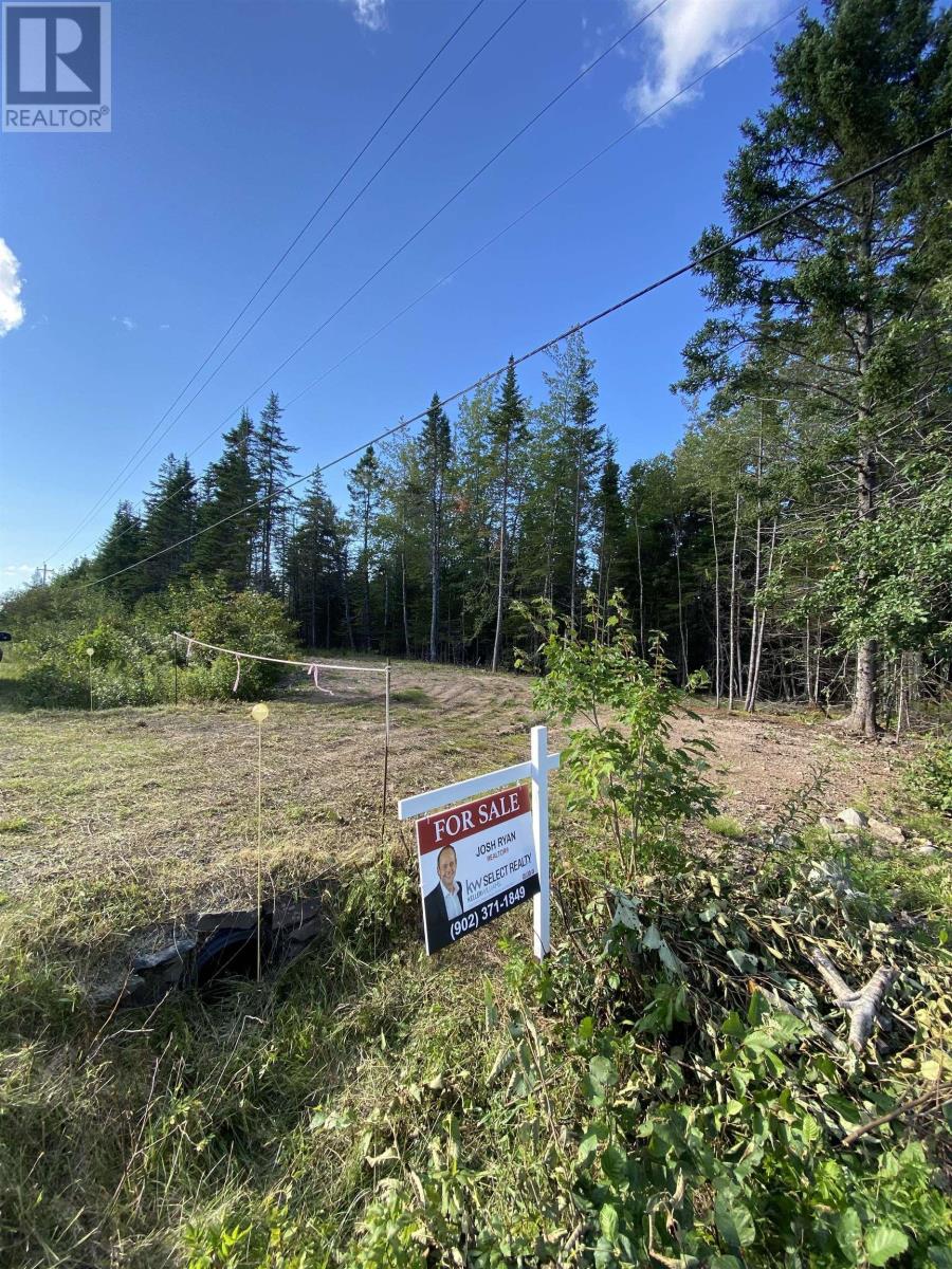 Lot Highway 4, False Bay Brook, River Bourgeois, Nova Scotia  B0E 2X0 - Photo 9 - 202401582