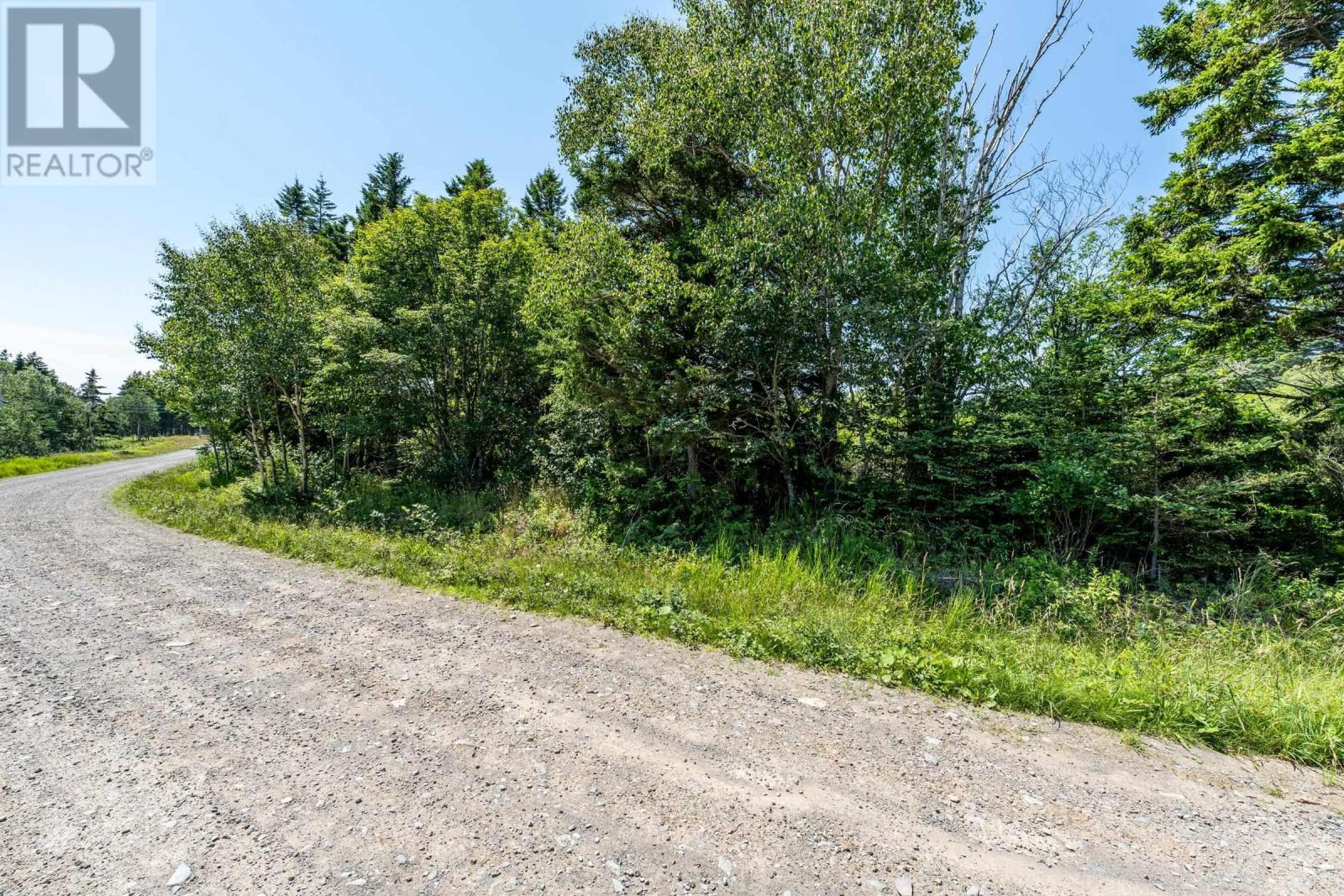 Lot 20 Point Road, Belliveaus Cove, Nova Scotia  B0W 1M0 - Photo 13 - 202401870