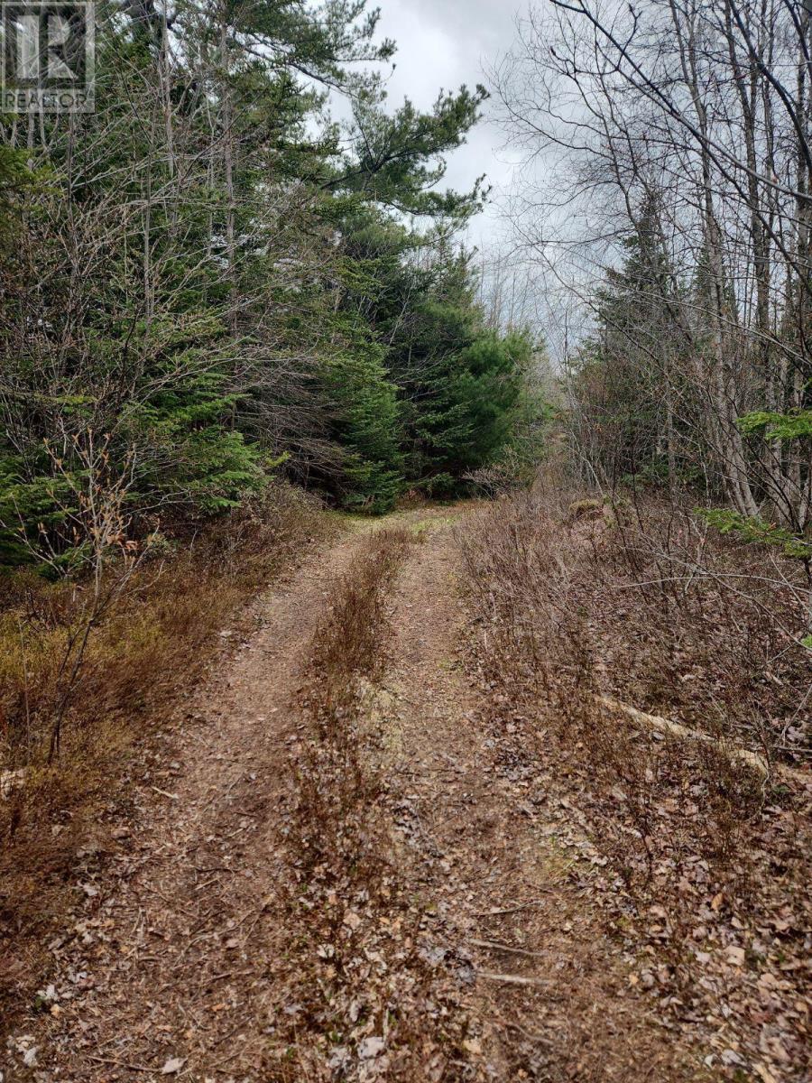 Upper Brian Street, east preston, Nova Scotia