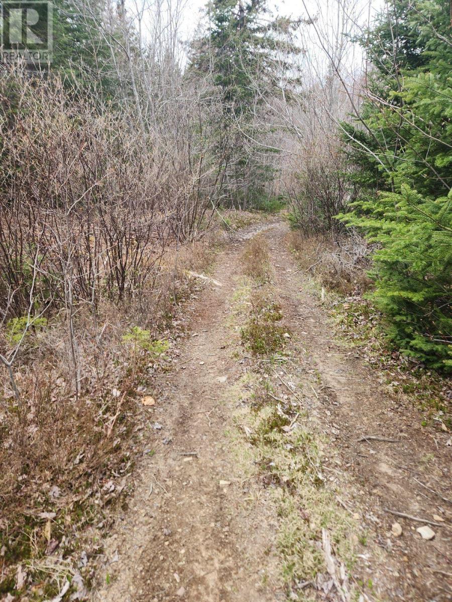 Upper Brian Street, East Preston, Nova Scotia  B2W 3N3 - Photo 5 - 202401968