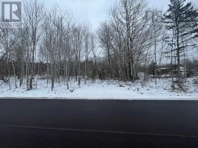 Lot 326 Sherbrooke Road, East River, Nova Scotia  B2H 5C8 - Photo 11 - 202402015