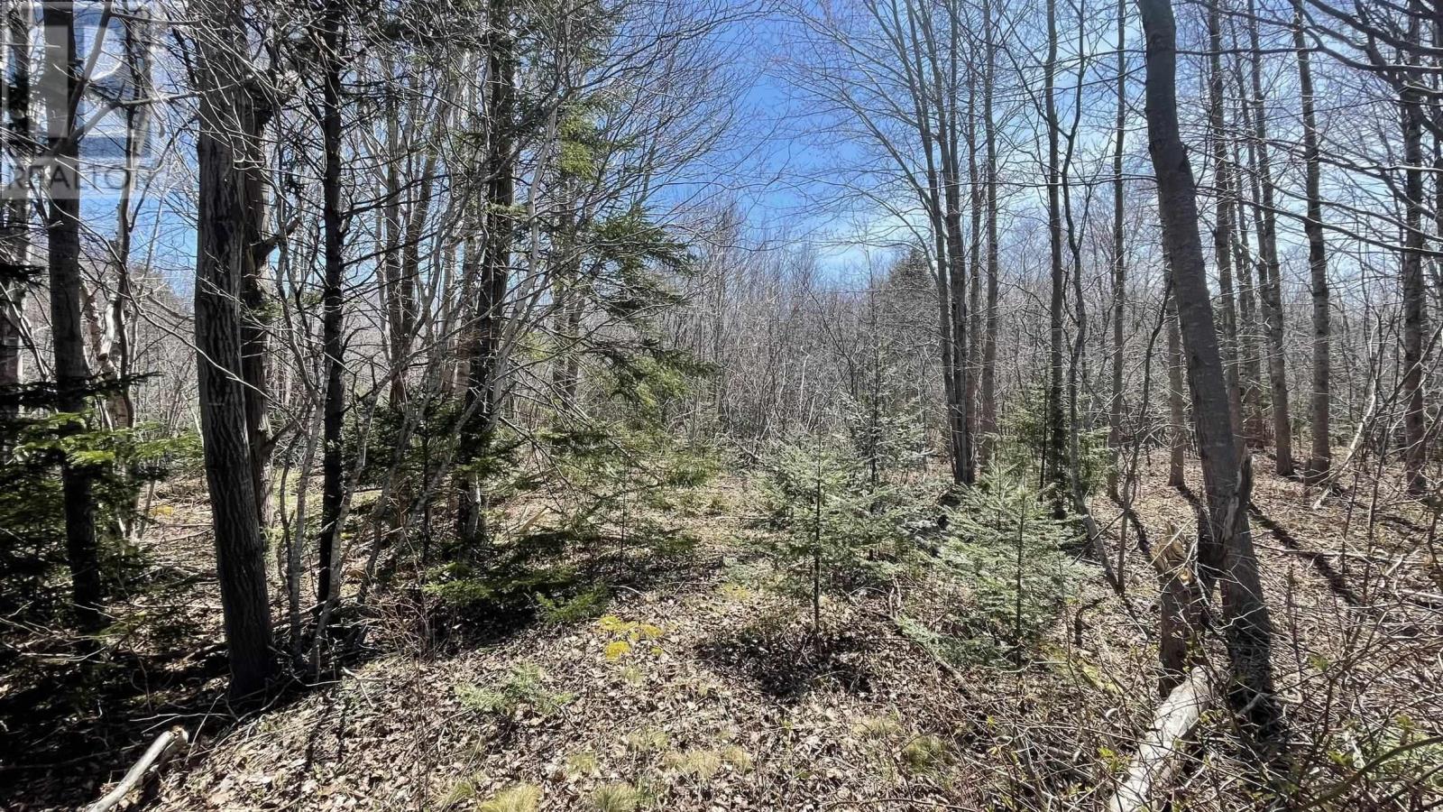 Lot 2 Jordantown Cross Road, conway, Nova Scotia