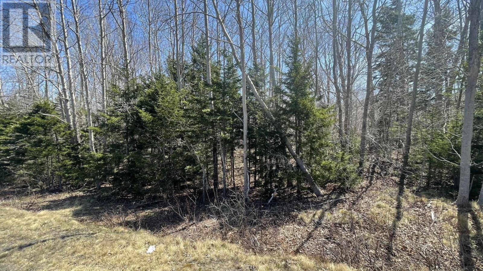 Lot 2 Jordantown Cross Road, Conway, Nova Scotia  B0V 1A0 - Photo 2 - 202402190