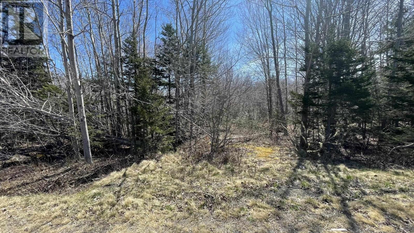 Lot 2 Jordantown Cross Road, Conway, Nova Scotia  B0V 1A0 - Photo 3 - 202402190