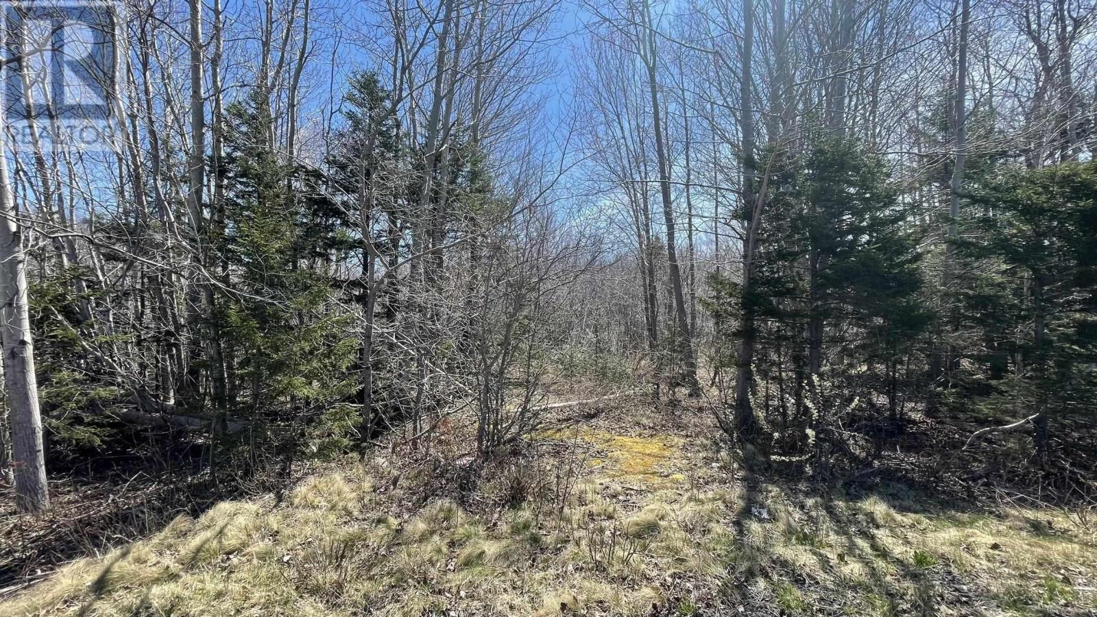 Lot 2 Jordantown Cross Road, Conway, Nova Scotia  B0V 1A0 - Photo 4 - 202402190