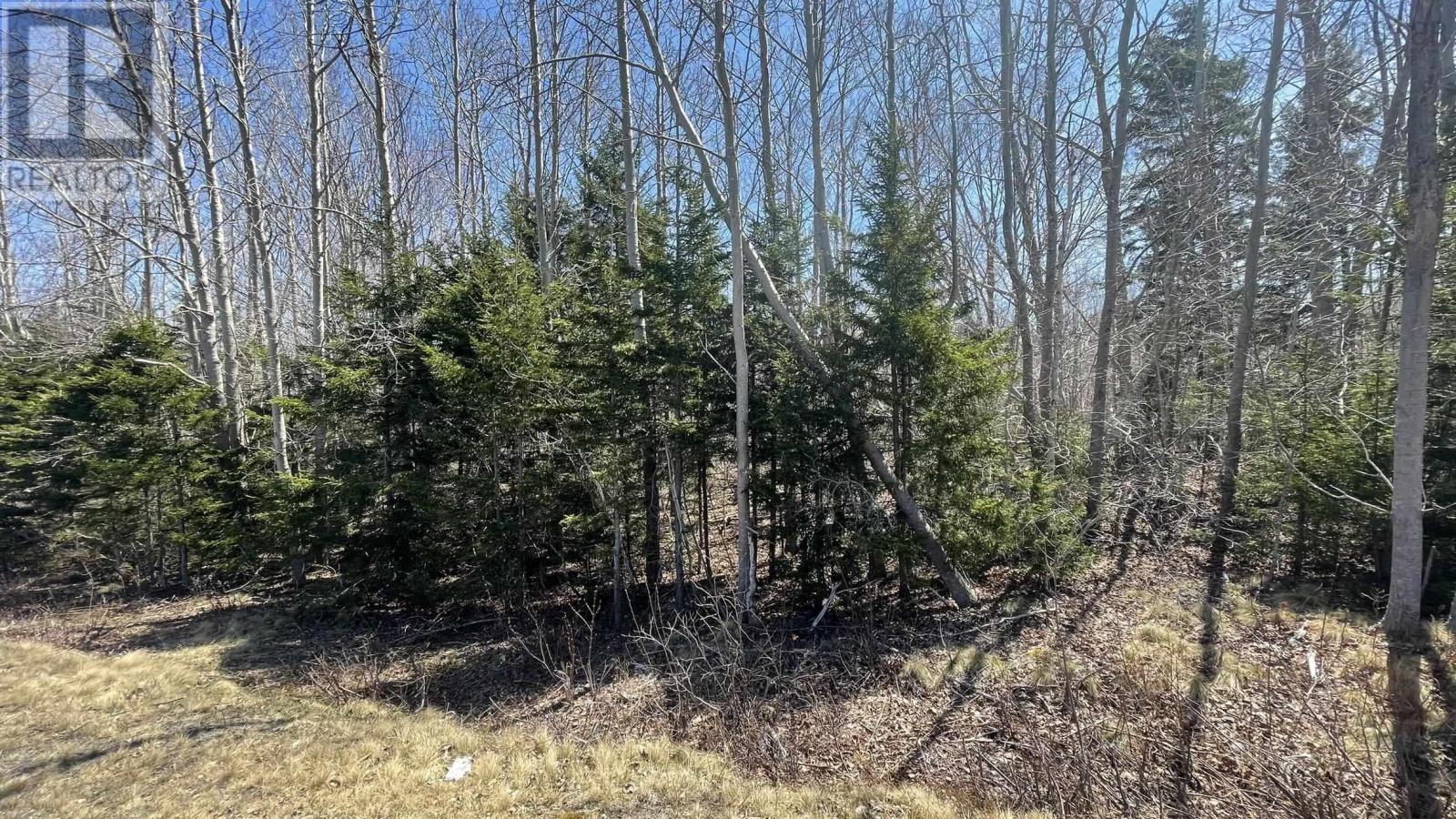 Lot 2 Jordantown Cross Road, Conway, Nova Scotia  B0V 1A0 - Photo 5 - 202402190