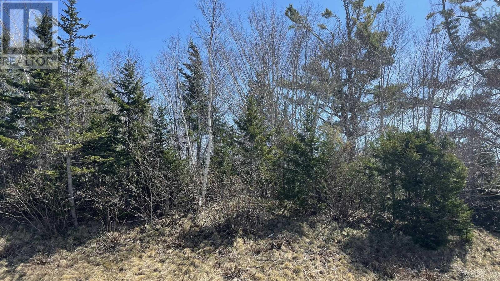 Lot 2 Jordantown Cross Road, Conway, Nova Scotia  B0V 1A0 - Photo 6 - 202402190