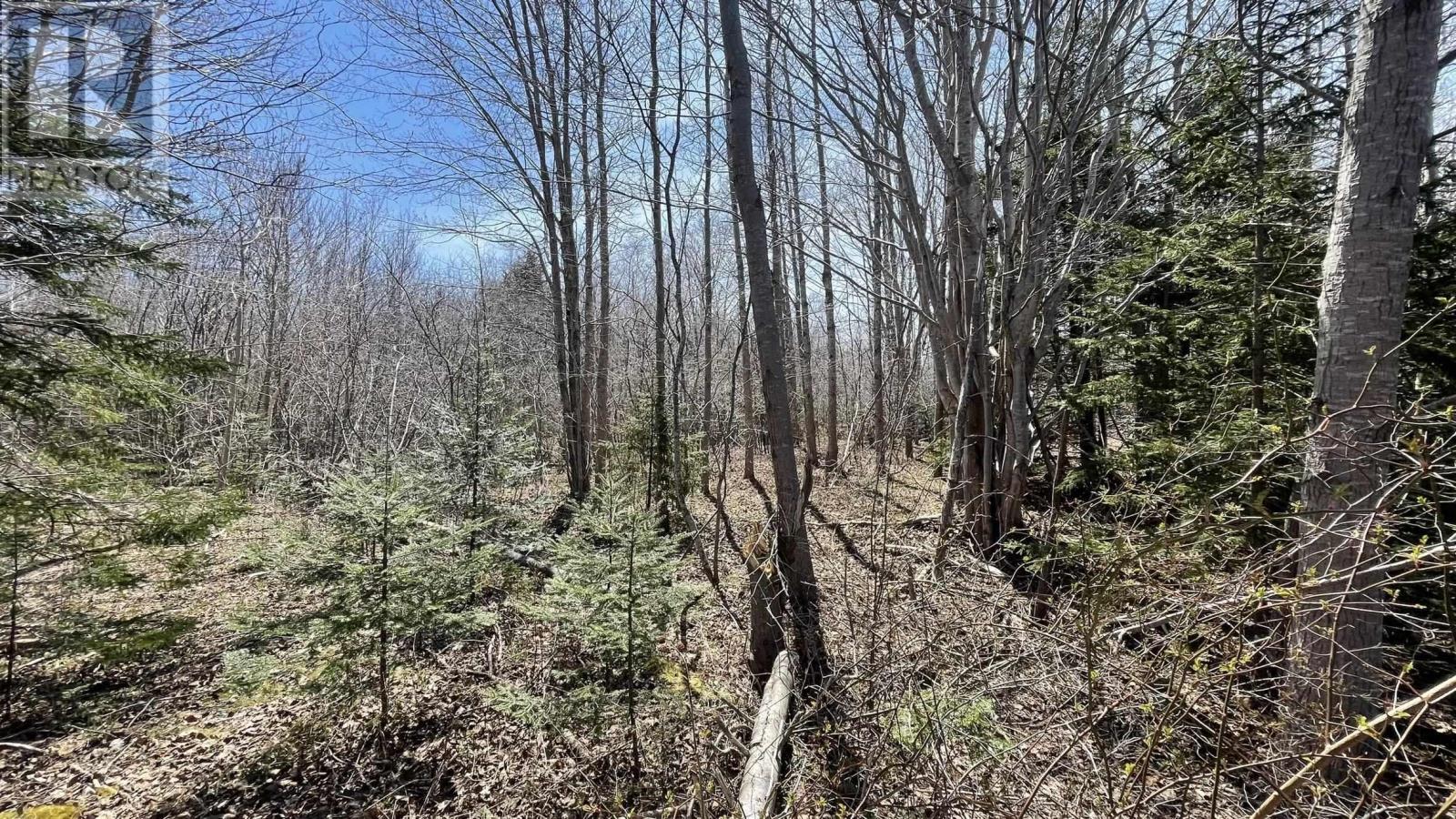 Lot 2 Jordantown Cross Road, Conway, Nova Scotia  B0V 1A0 - Photo 7 - 202402190