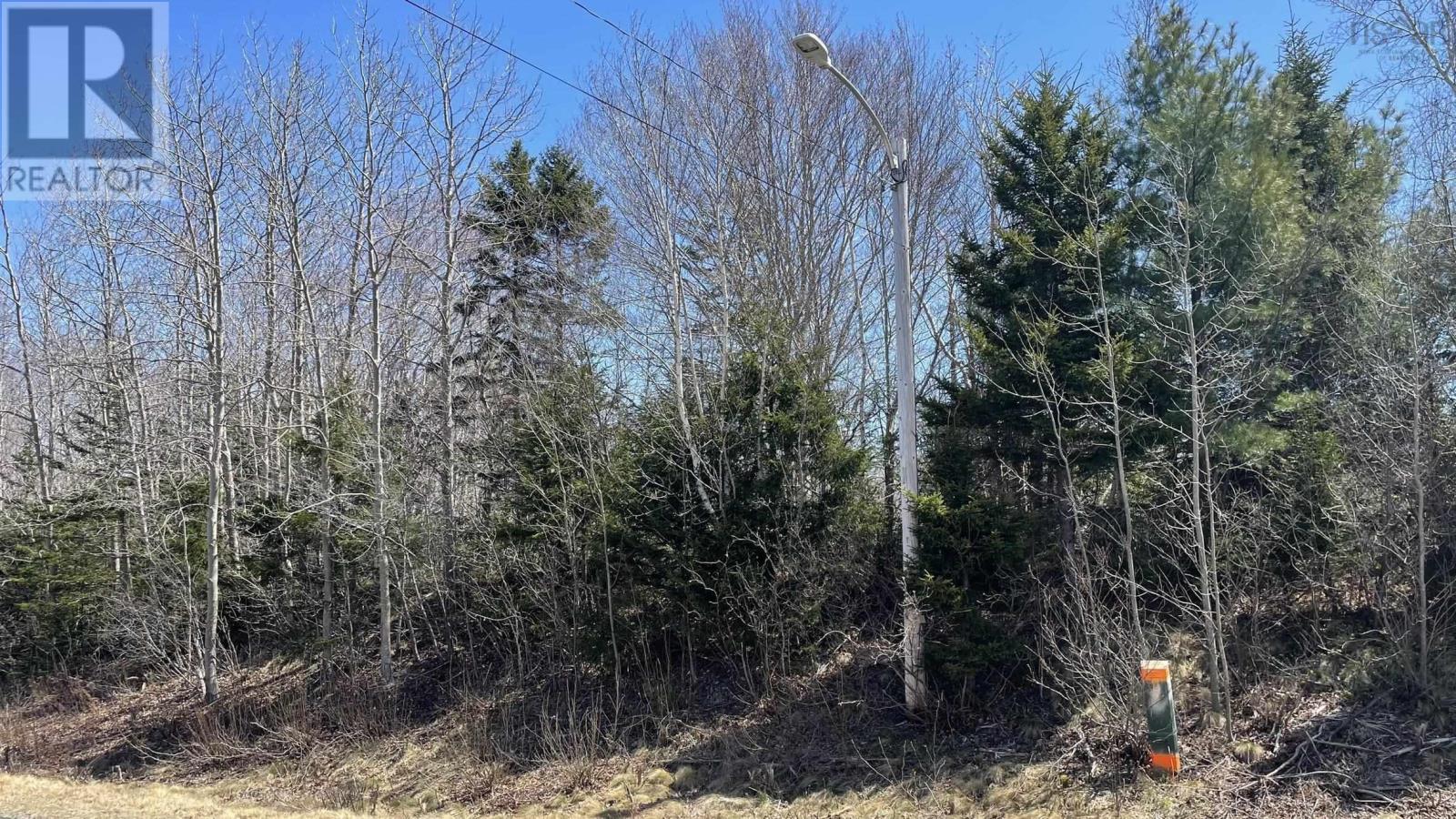 Lot 2 Jordantown Cross Road, Conway, Nova Scotia  B0V 1A0 - Photo 8 - 202402190